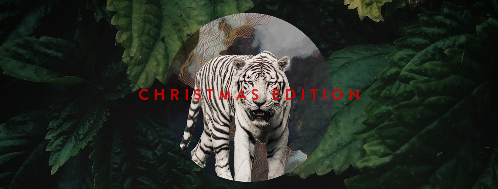 Rico Loop, Glauco Di Mambro & Laion by Beso Salvaje | Christmas Edition