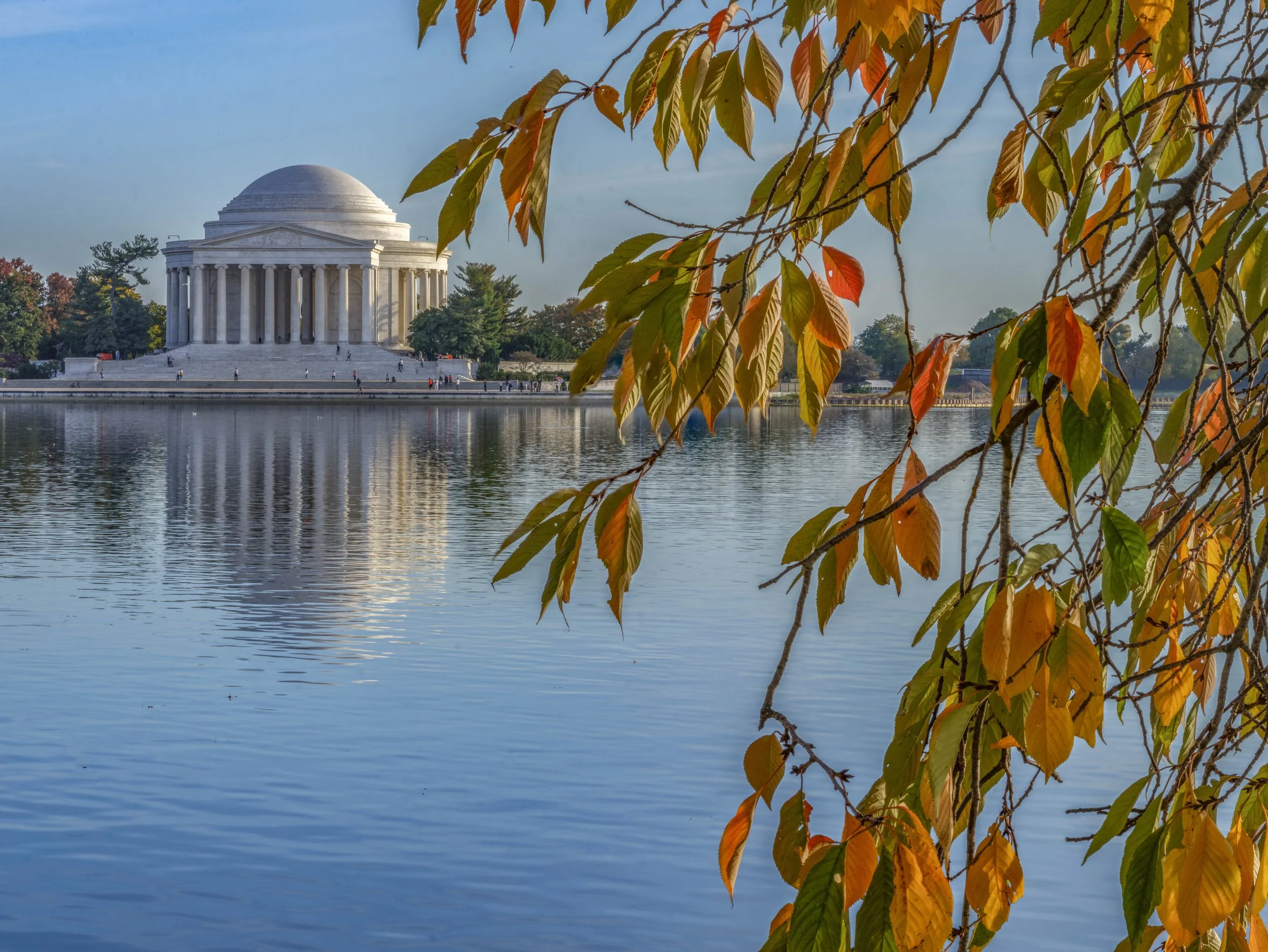 _DSF5510-focus stack.jpg