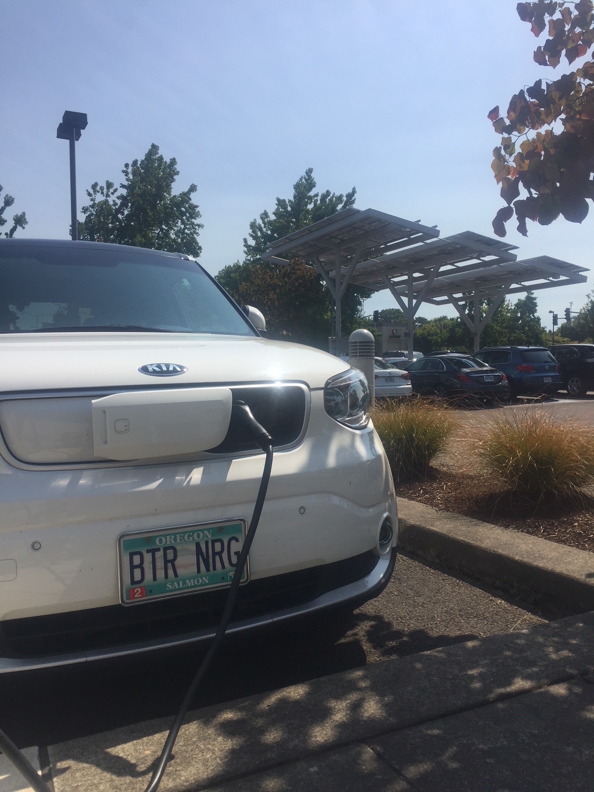 Electric Vehicle Showcase Coming to Portland International Auto Show