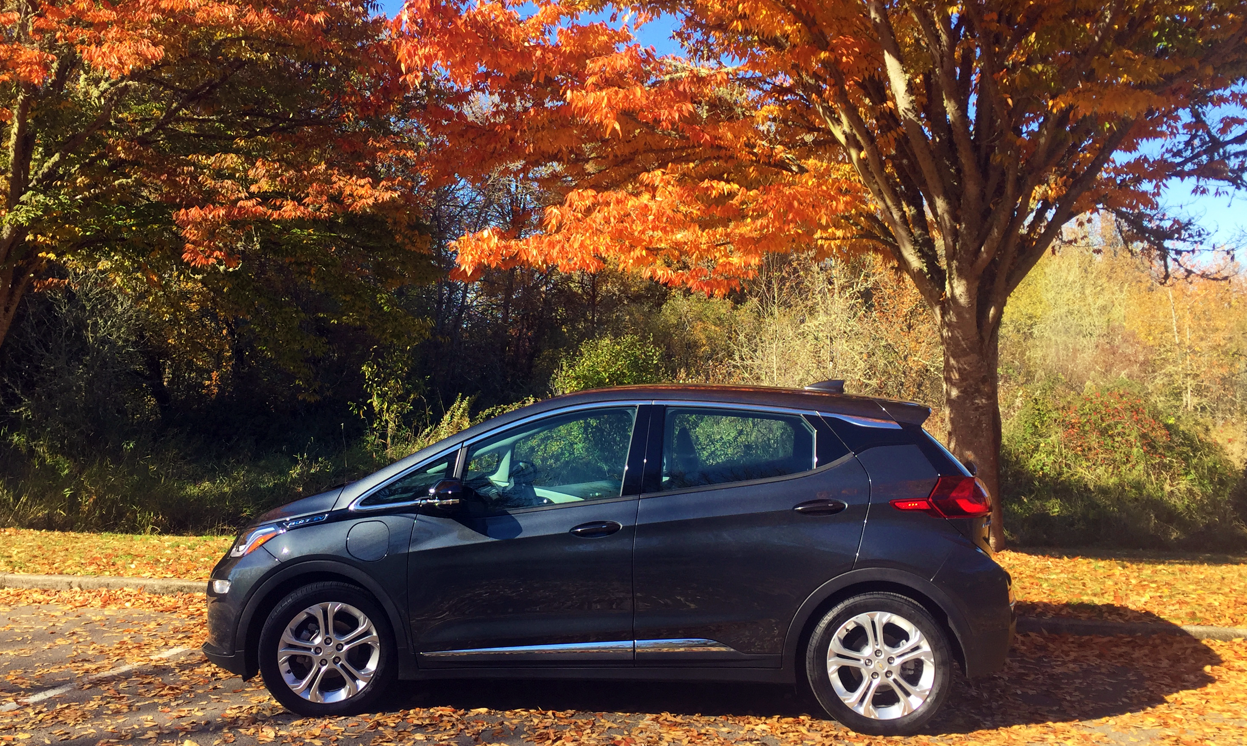 Bolt with Autumn Leaves.png