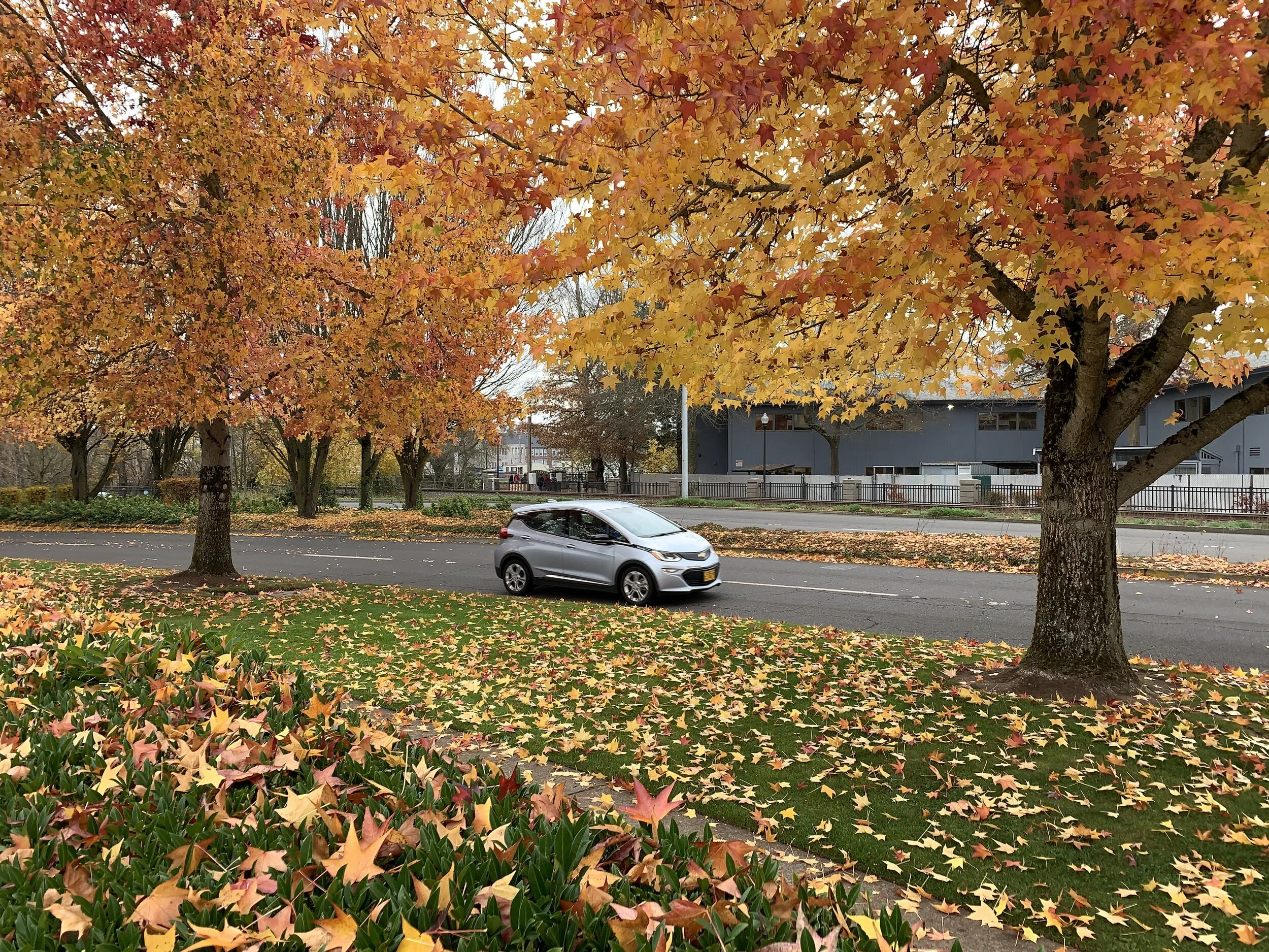 City of Ashland Launches Electric Vehicle and Bike&nbsp;Incentive&nbsp;Program&nbsp;&nbsp;