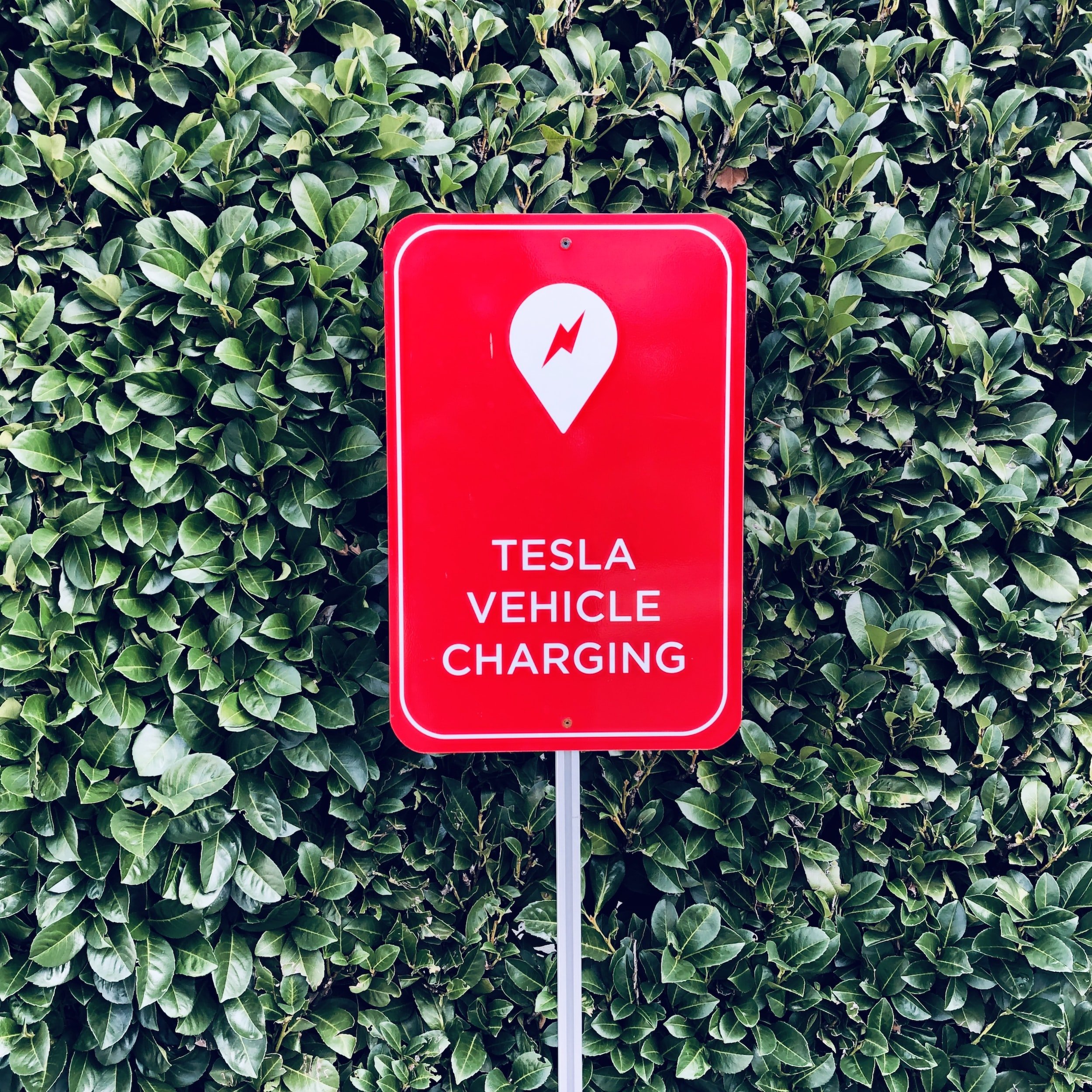 Oregon's Largest Tesla Supercharging Center Opens in Sutherlin