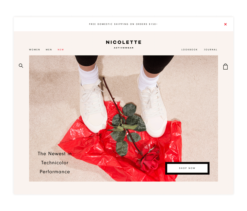 nicolette_website_home.gif