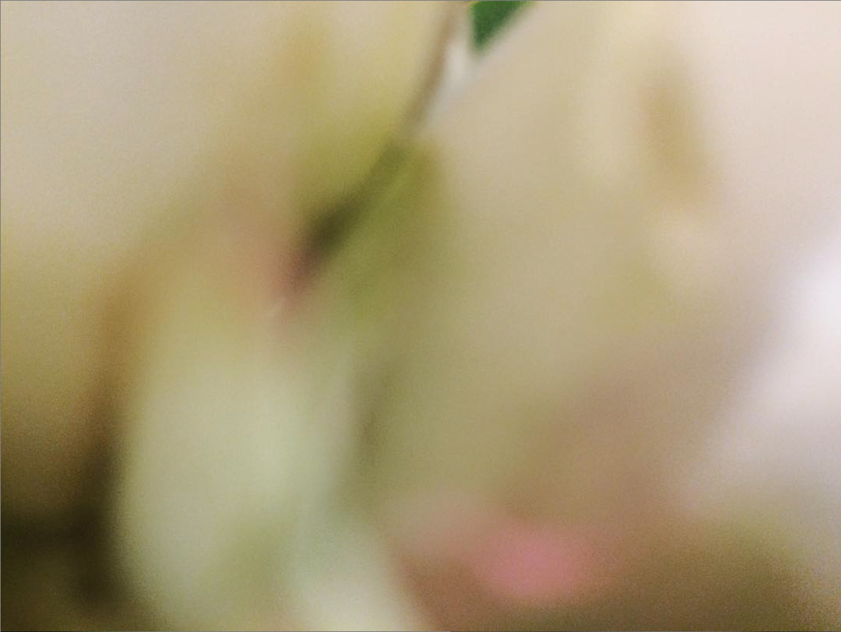 Screenshot 2018-12-23 at 20.10.44.png