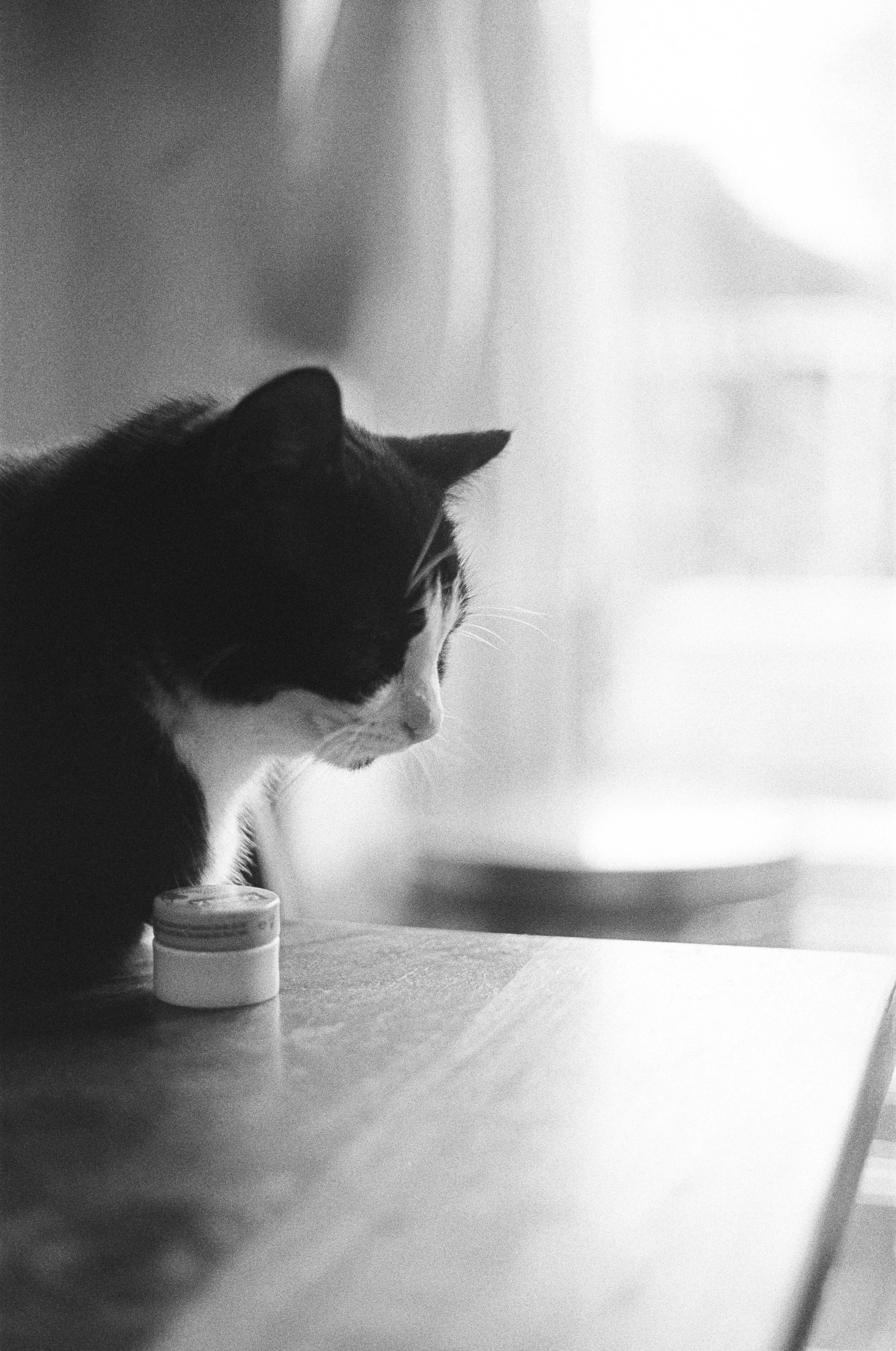 pix.jpg