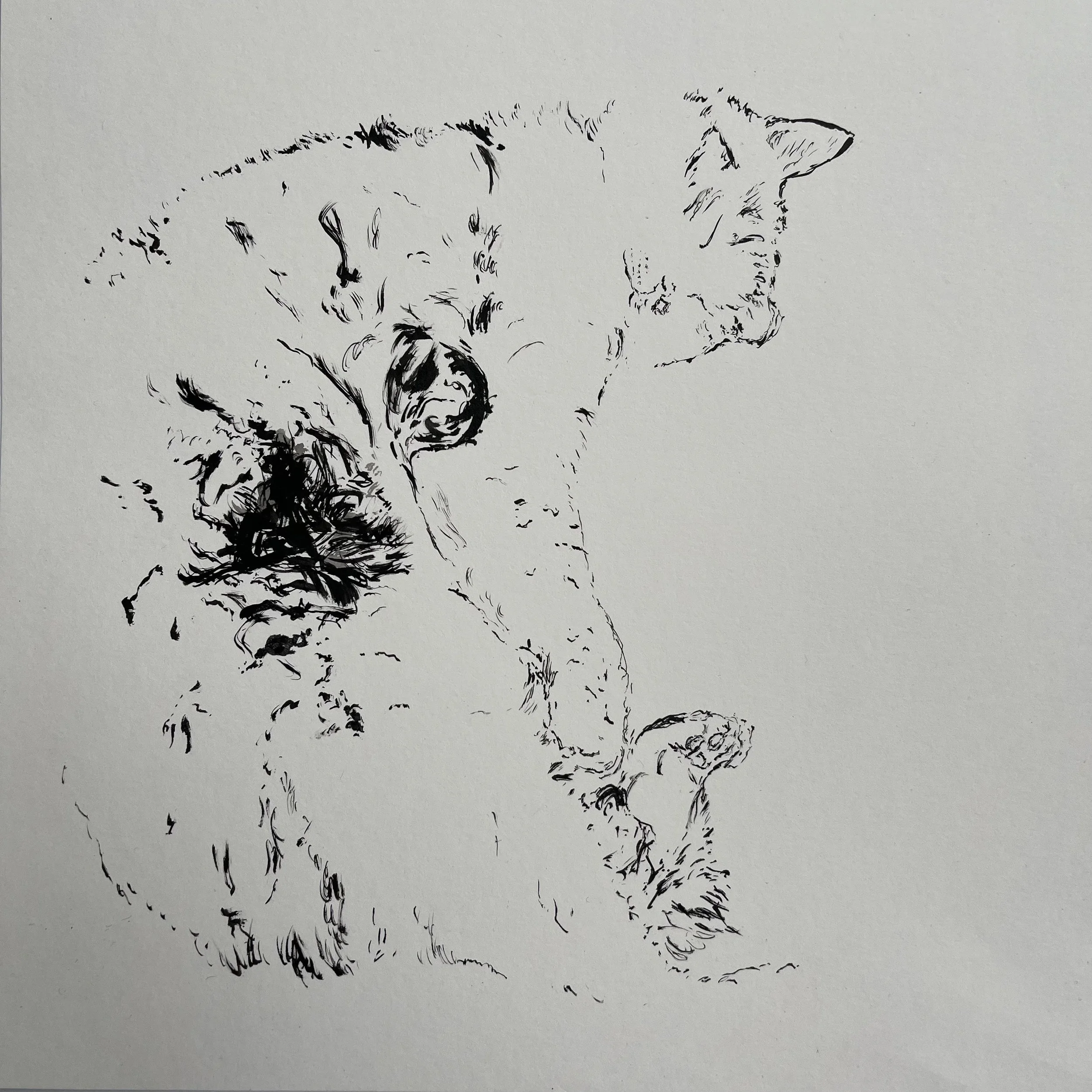 AdditionalWork4_Fox Sleeping II_25x25cm.jpeg