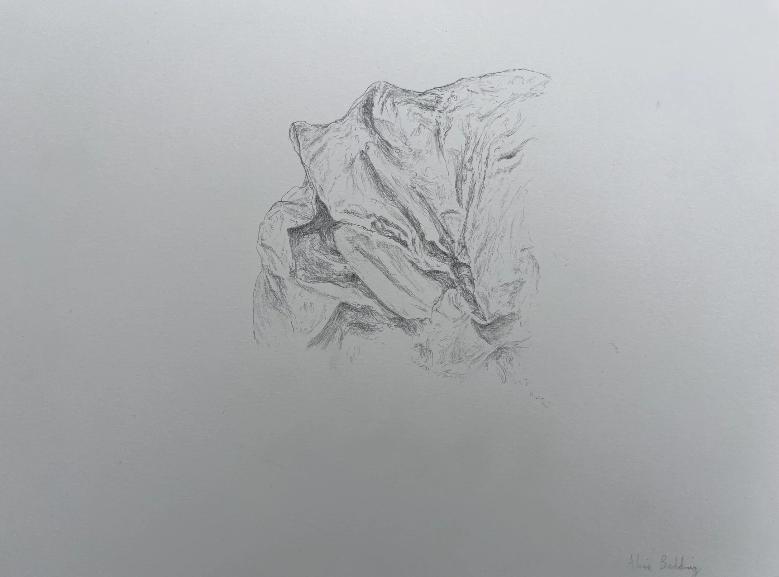 Drawing10_Alive Bedding_21x29.7cm.jpeg