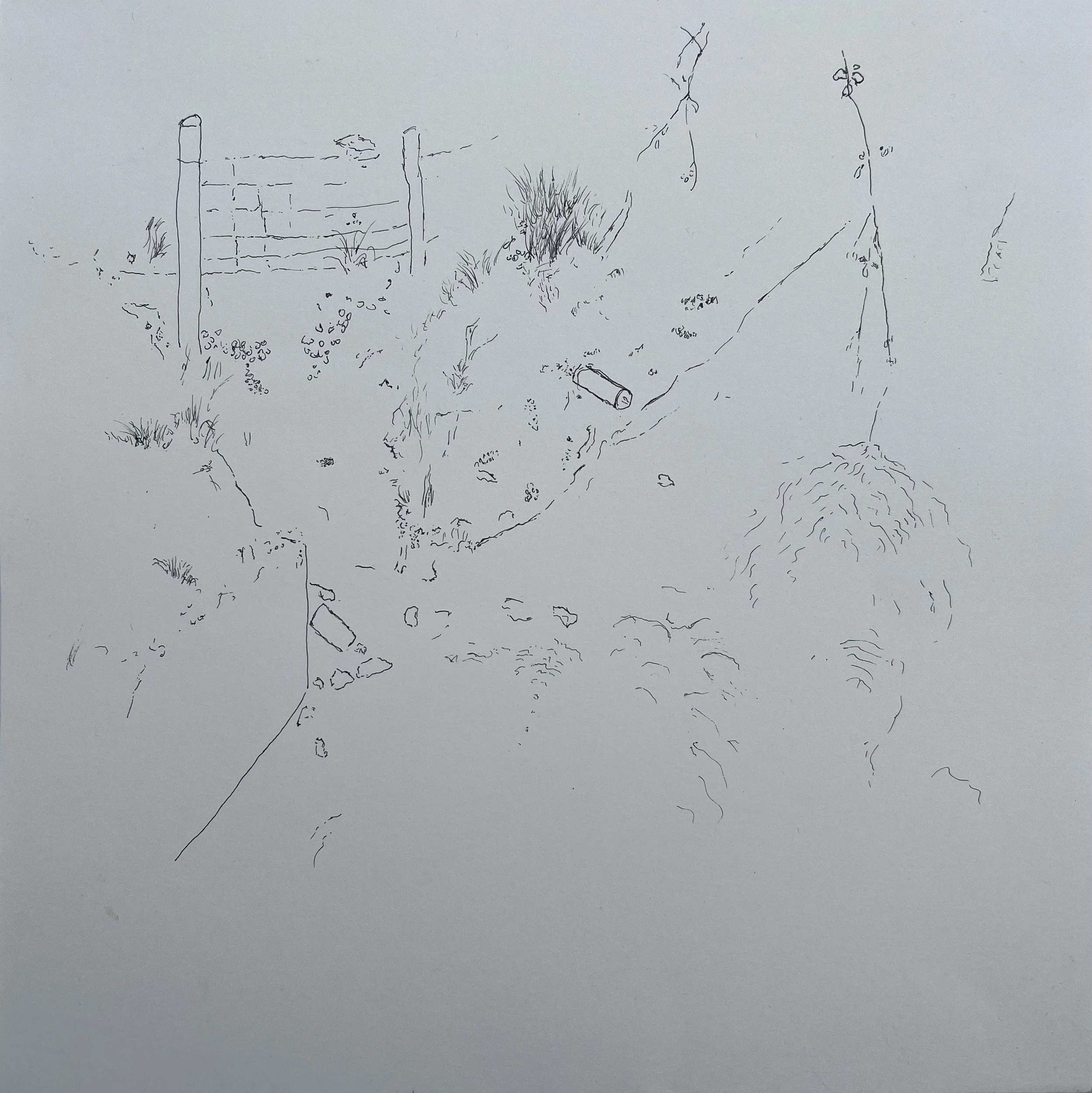 Drawing9_By the River_25x25cm.jpeg