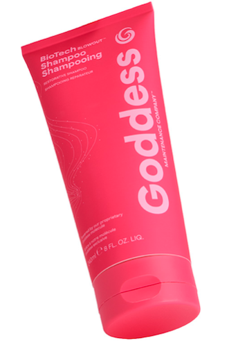 goddesss-0017599001770251880.png