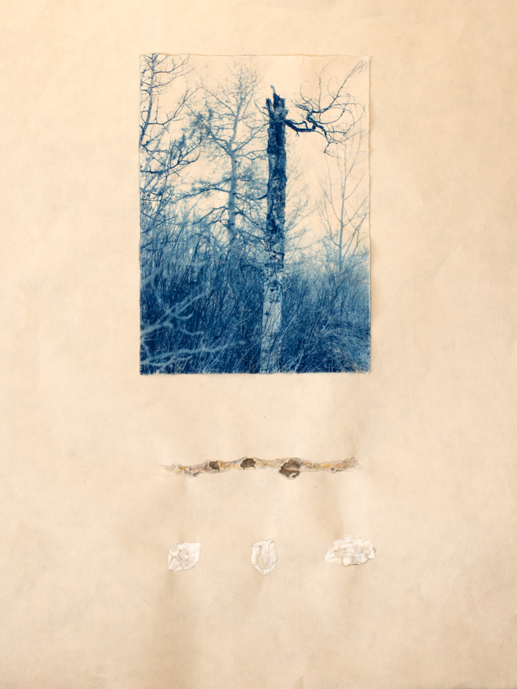 Cyanotype and watercolor on washi paper These works are a peaceful protest. They quietly provoke the viewer to see beauty in the mundane. Imagination and creativity are seen through the use of playful surrealism. Through miniature paintings, altern
