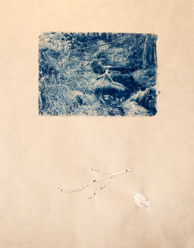 Cyanotype and watercolor on washi paper These works are a peaceful protest. They quietly provoke the viewer to see beauty in the mundane. Imagination and creativity are seen through the use of playful surrealism. Through miniature paintings, altern