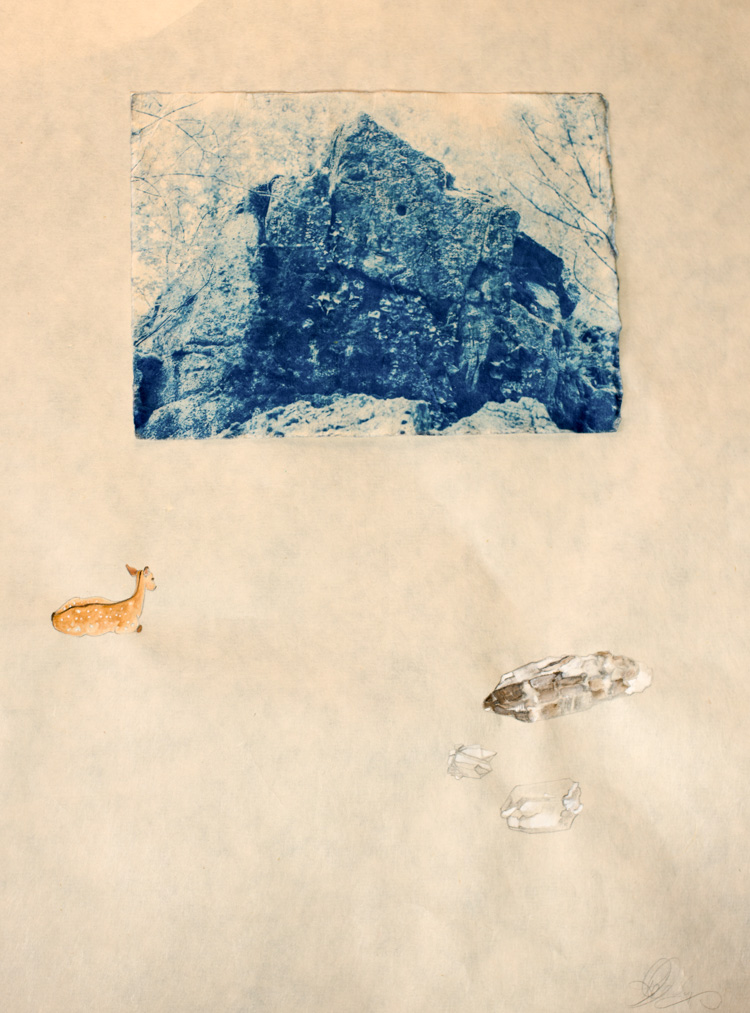 Cyanotype and watercolor on washi paper These works are a peaceful protest. They quietly provoke the viewer to see beauty in the mundane. Imagination and creativity are seen through the use of playful surrealism. Through miniature paintings, altern