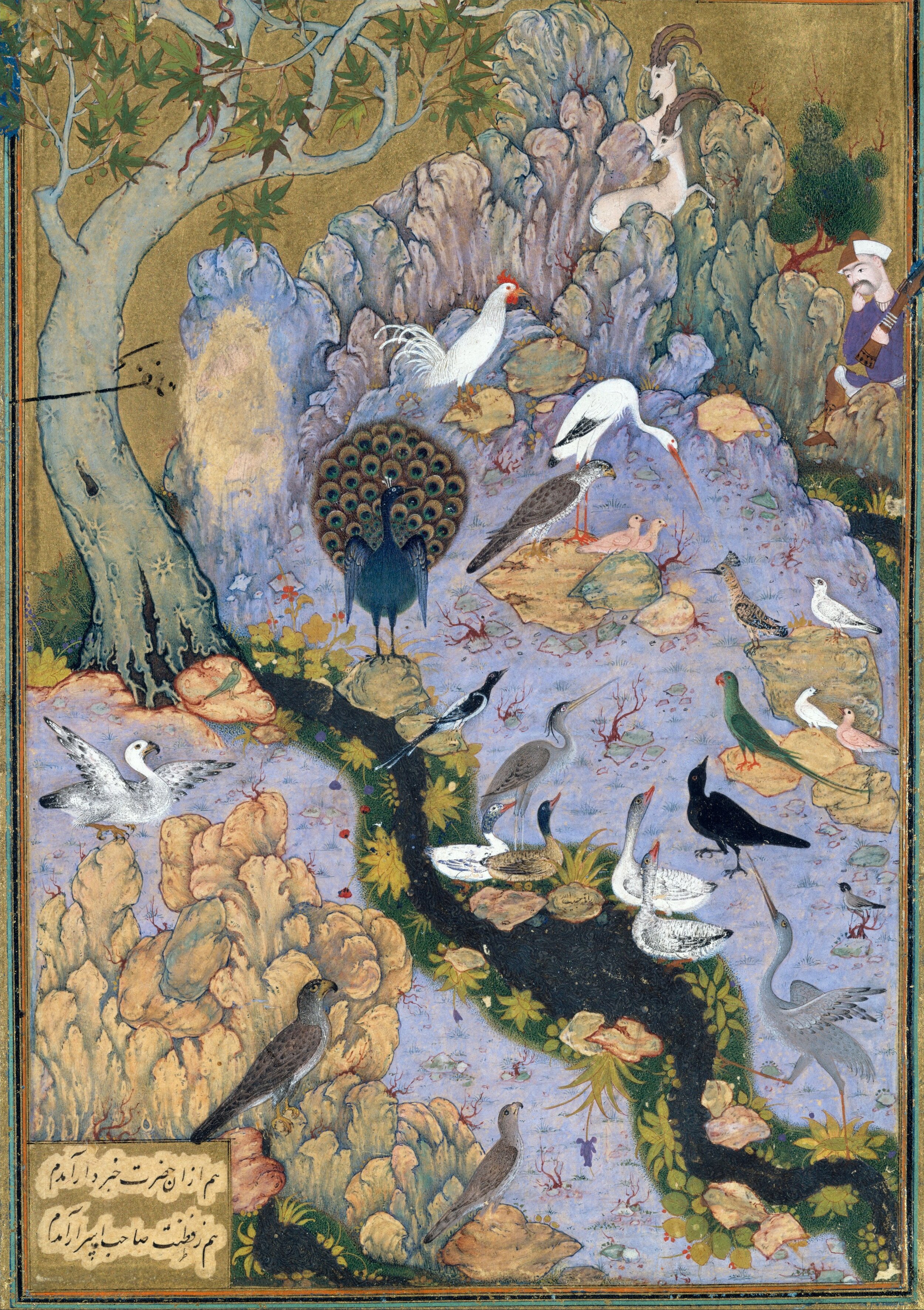 _The_Concourse_of_the_Birds_,_Folio_11r_from_a_Mantiq_al-tair_(Language_of_the_Birds)_MET_DT227734.jpg