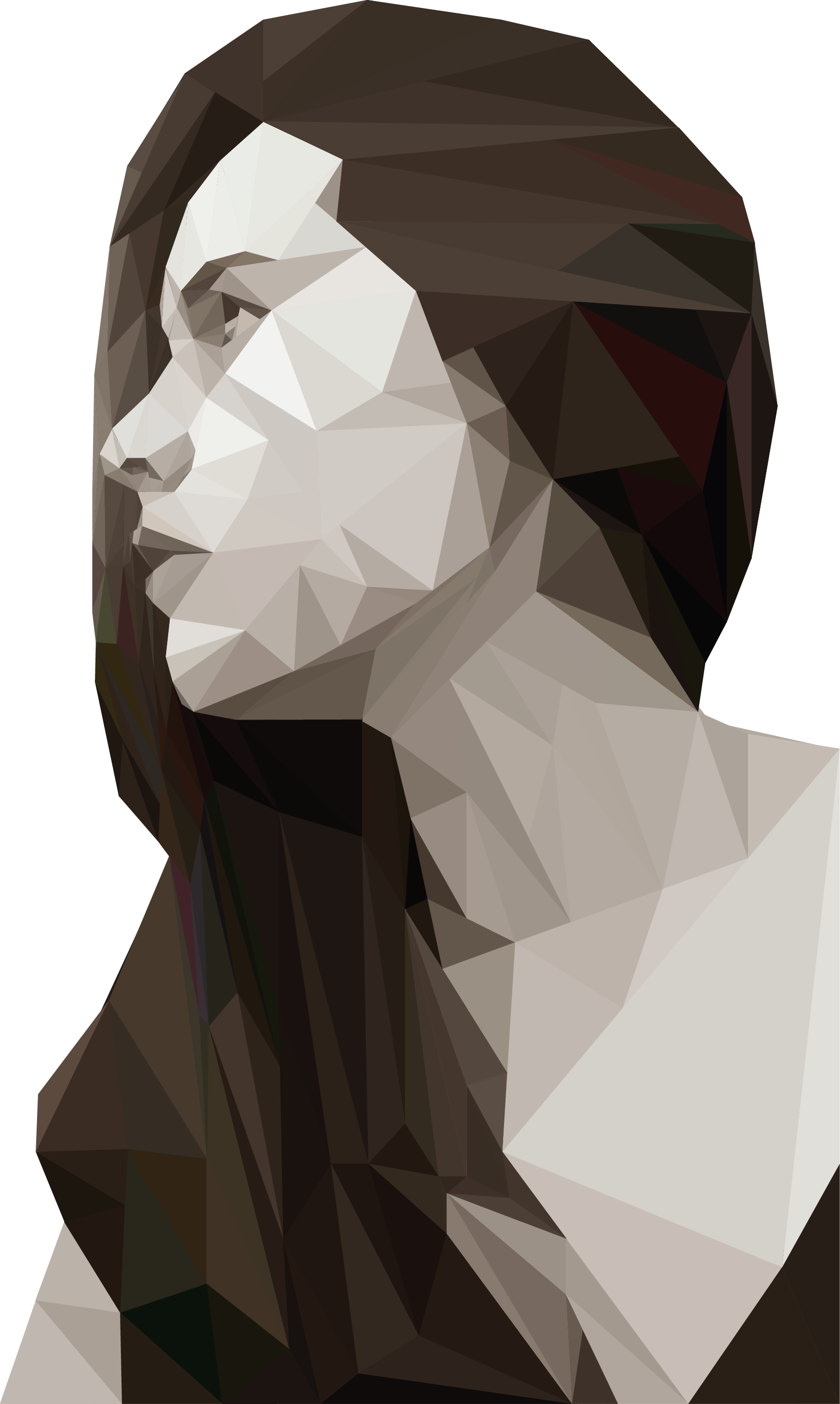polyportraitwhitebackground.png