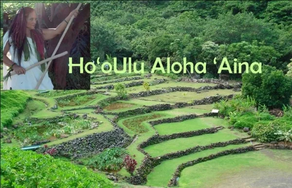 Kumu Ho'oUlu Aloha Aina.jpg