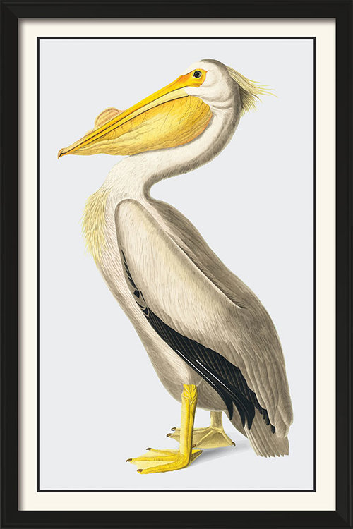 Classic Pelican - Vintage Poster Art 11