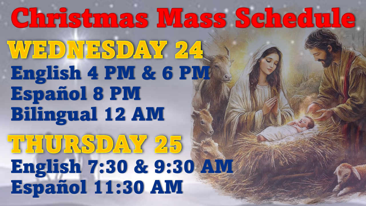 WB-25 Christmas.png