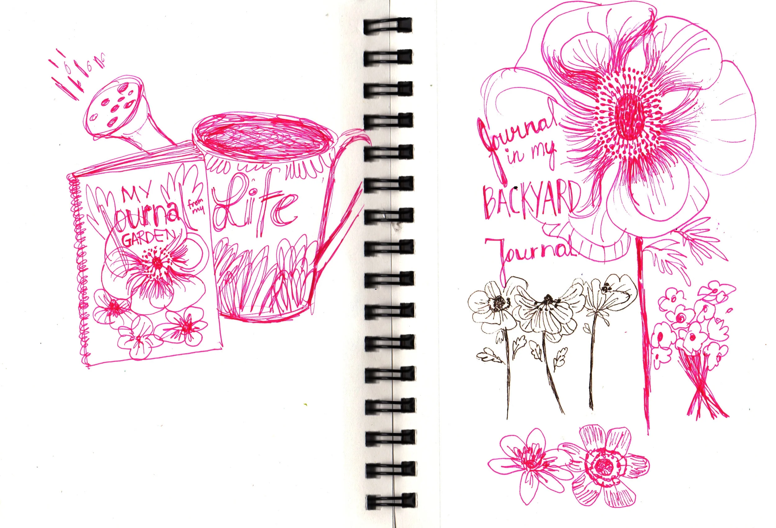 journal1.jpg