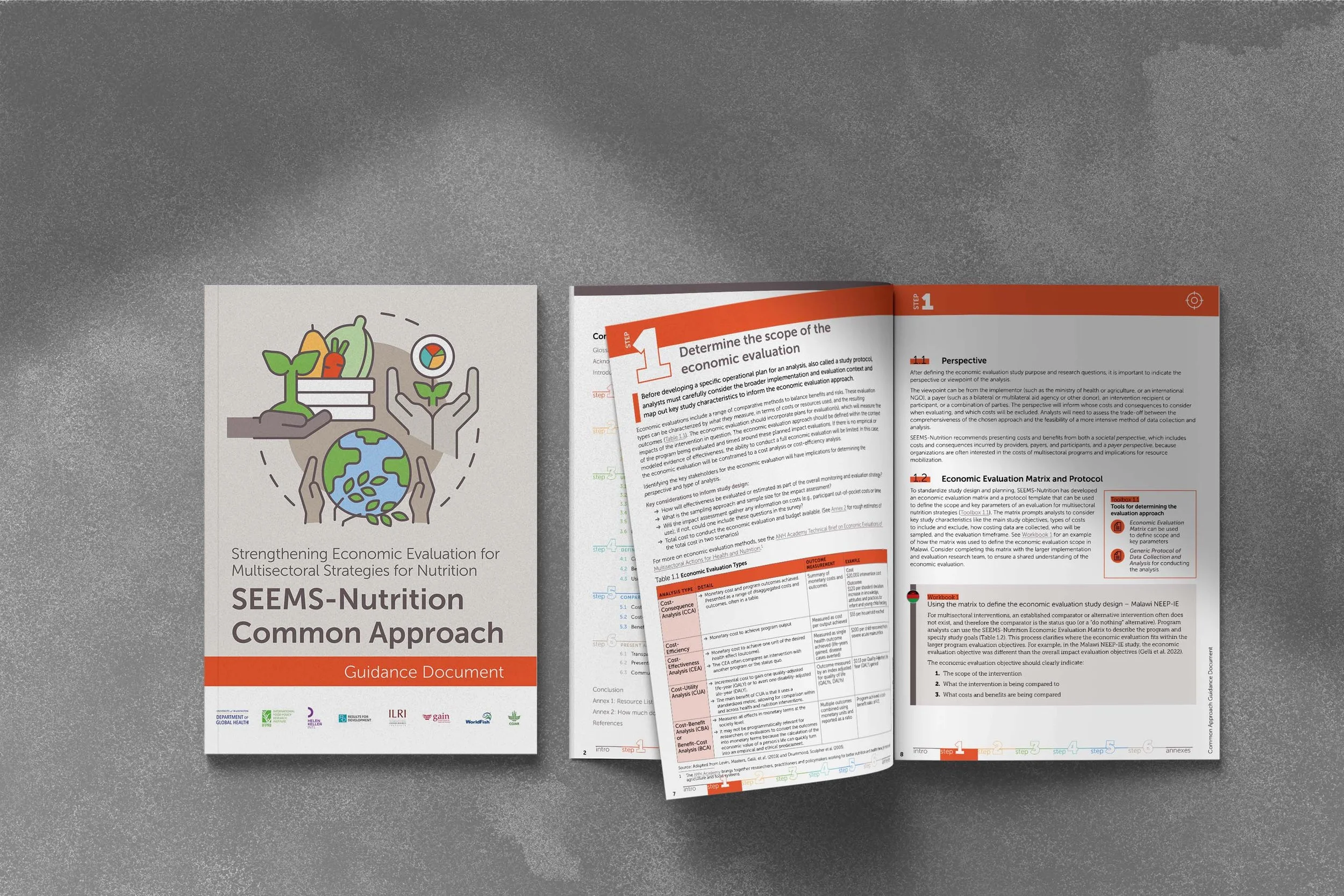 SEEMS-Nutrition Common Approach