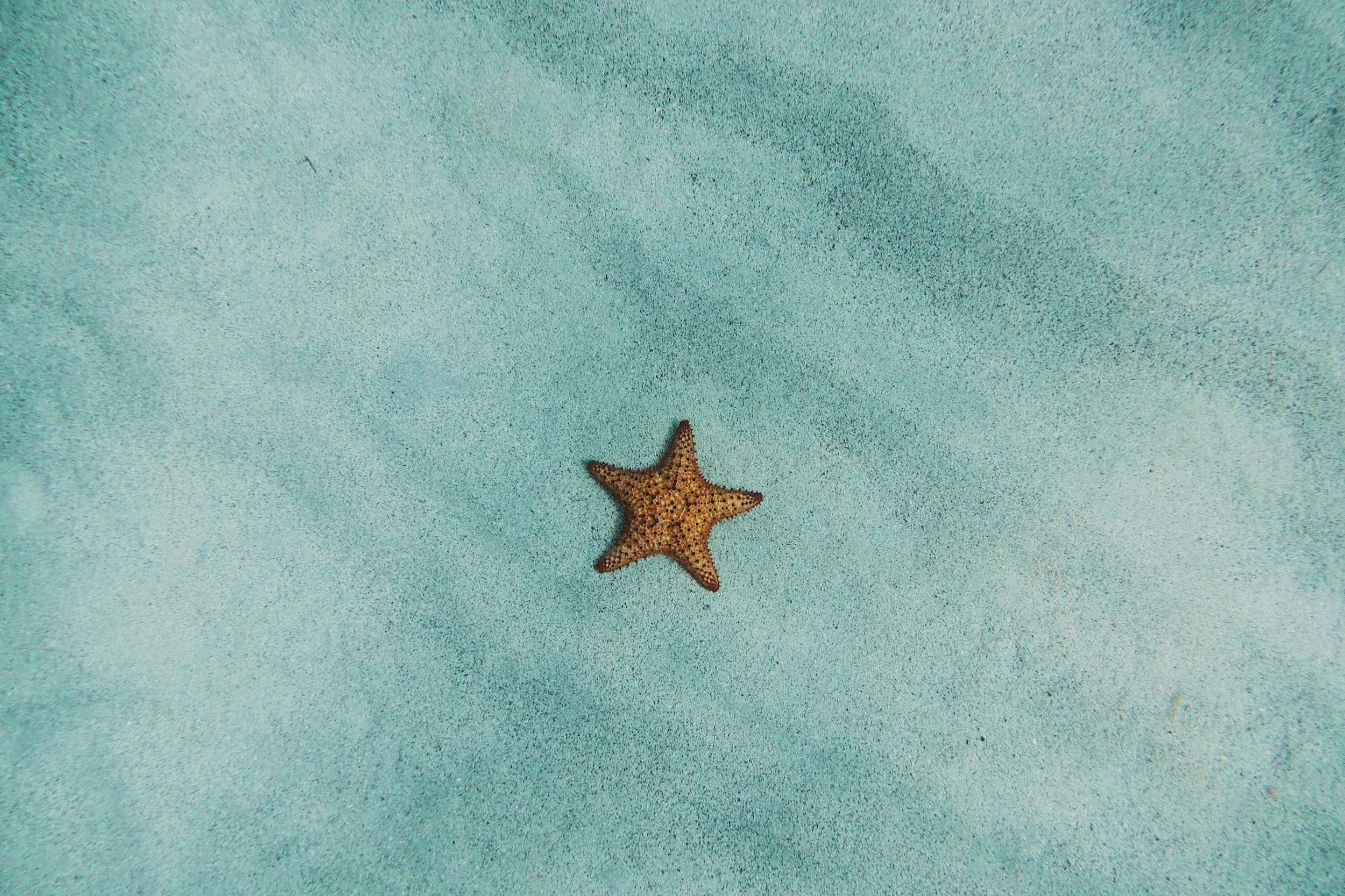 unsplash-image-2M_sDJ_agvs.jpg