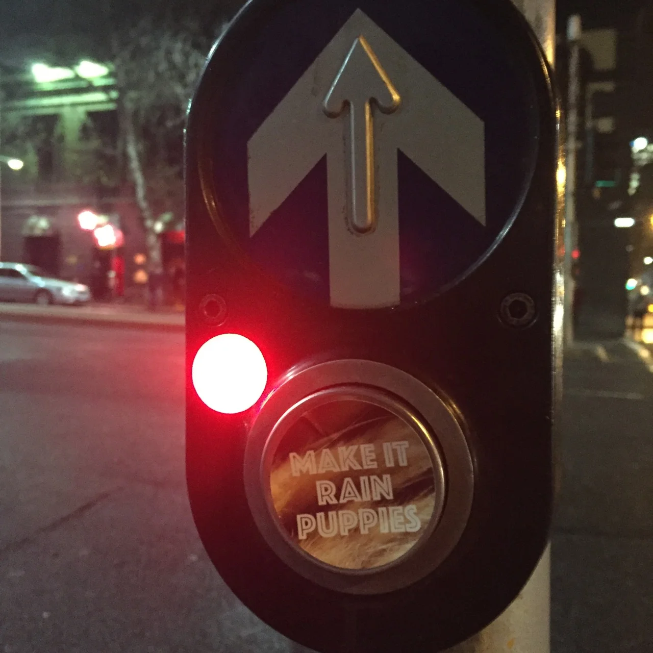 button6.jpg