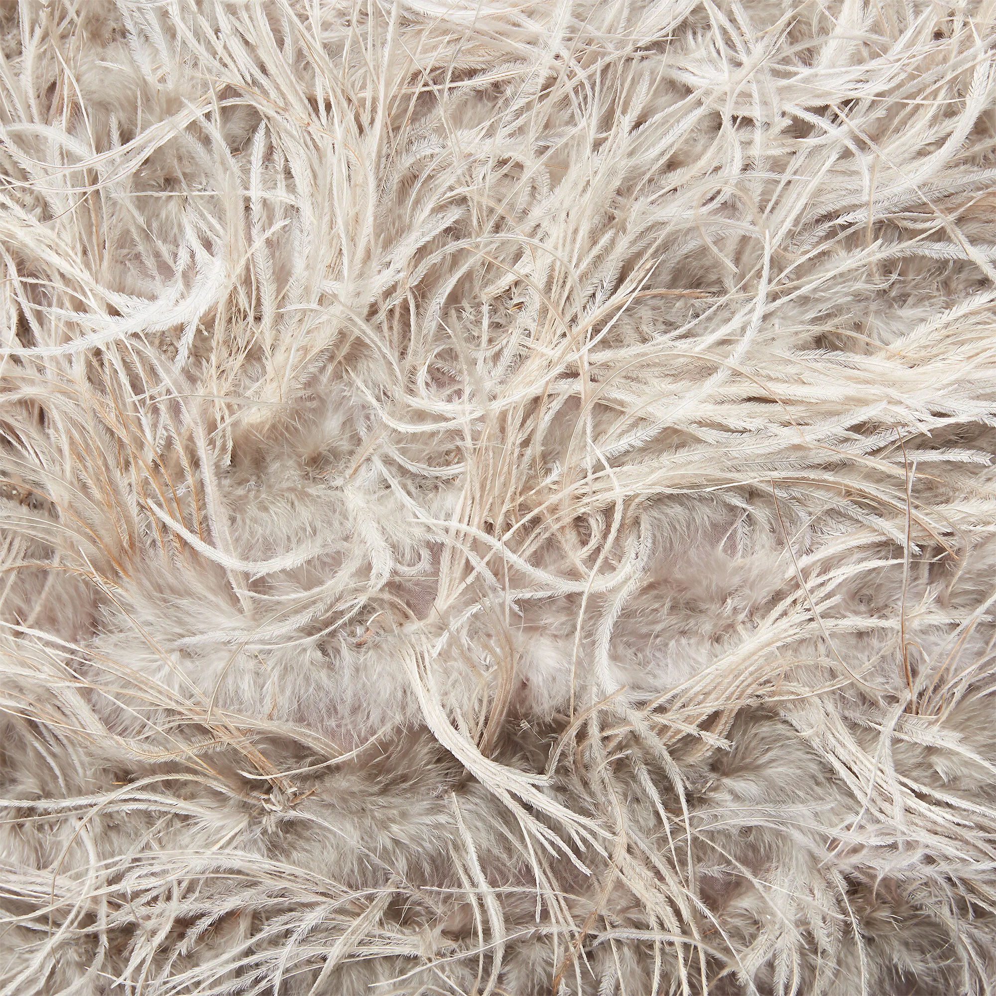 RL_Dover Street Ostrich Detail .jpg