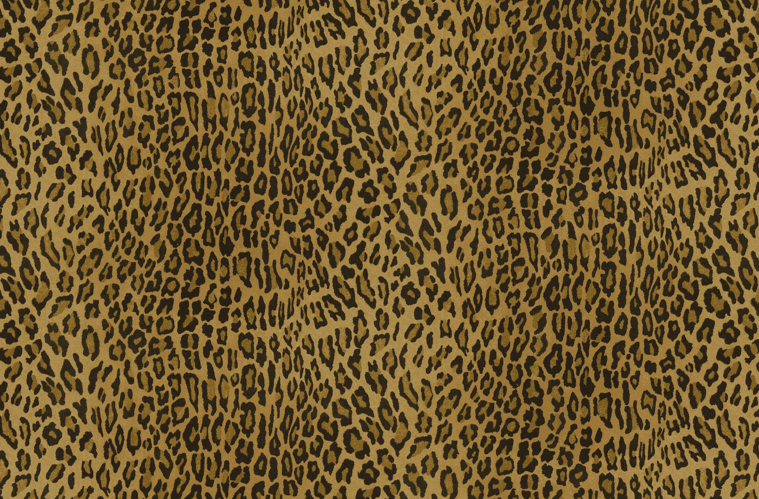 Leopard_Final copy.jpg