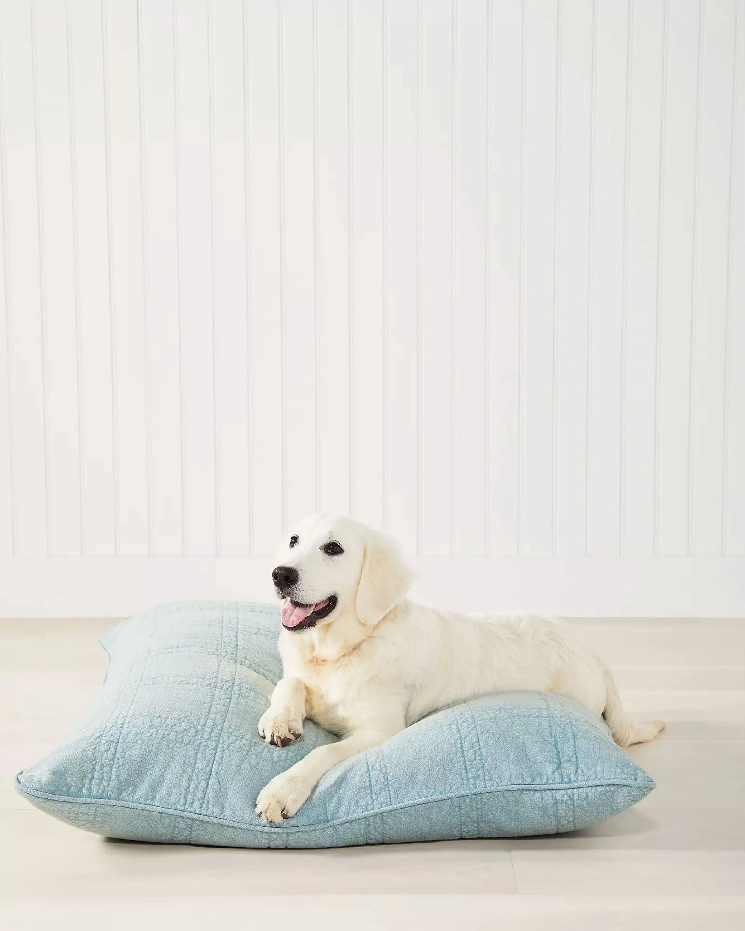 dogbed.jpg