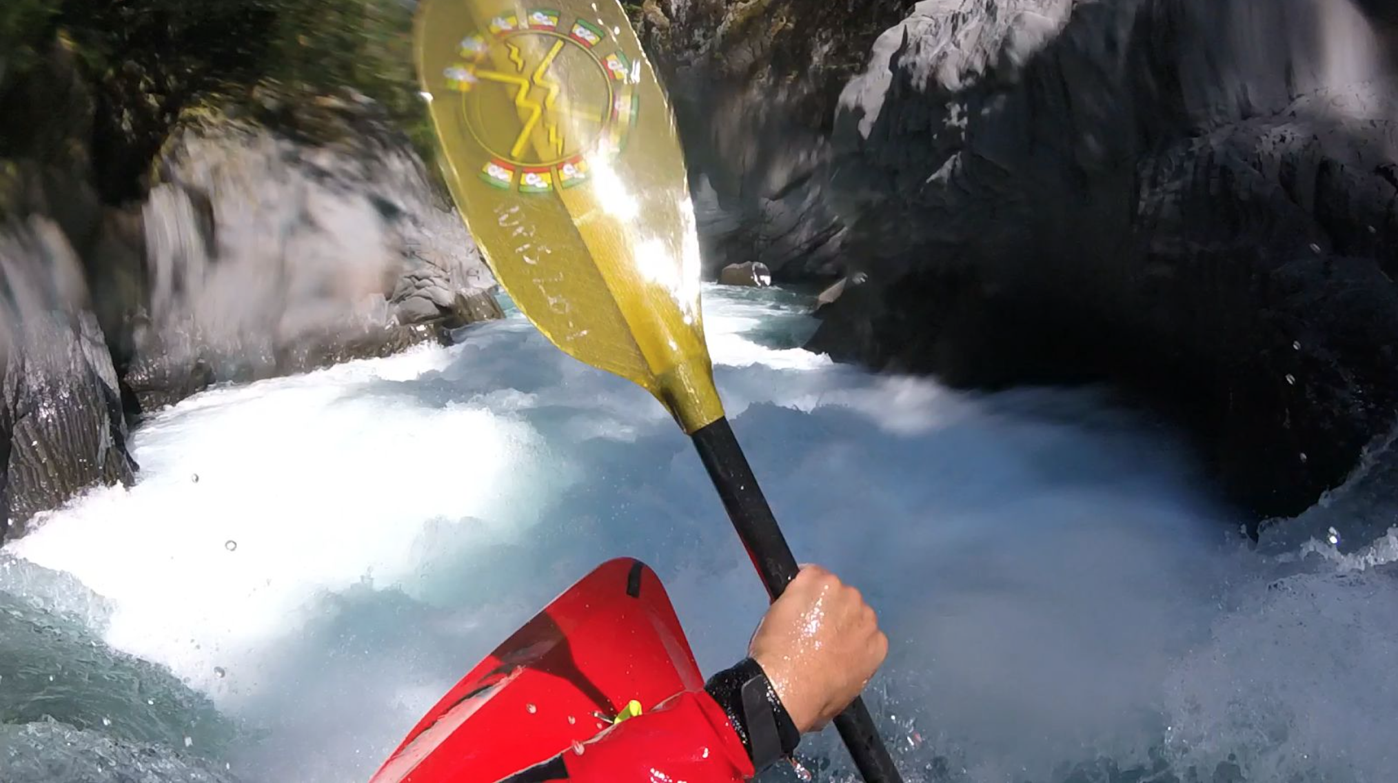 ae_paddle.png