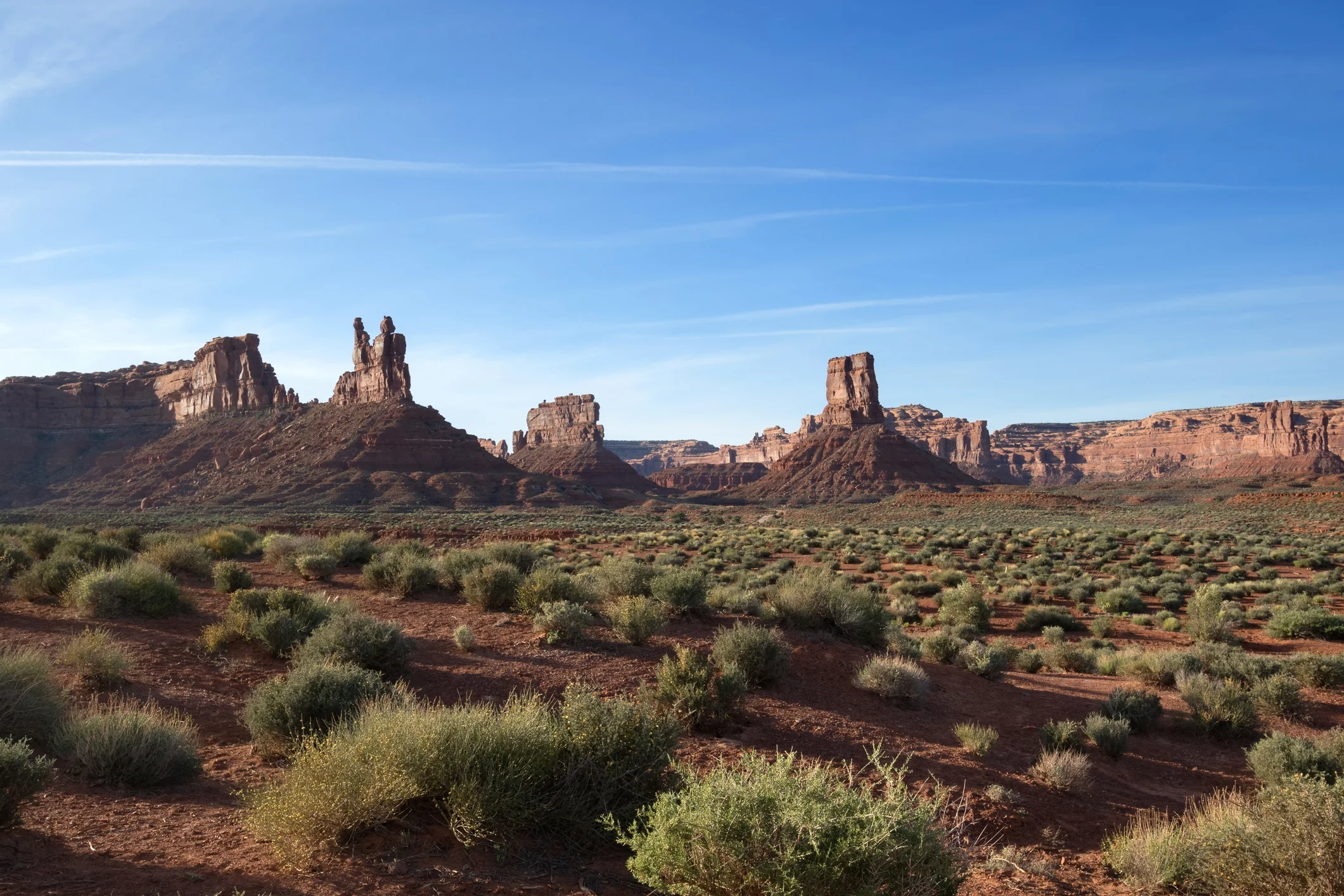 Photo by SumikoPhoto/iStock / Getty Images