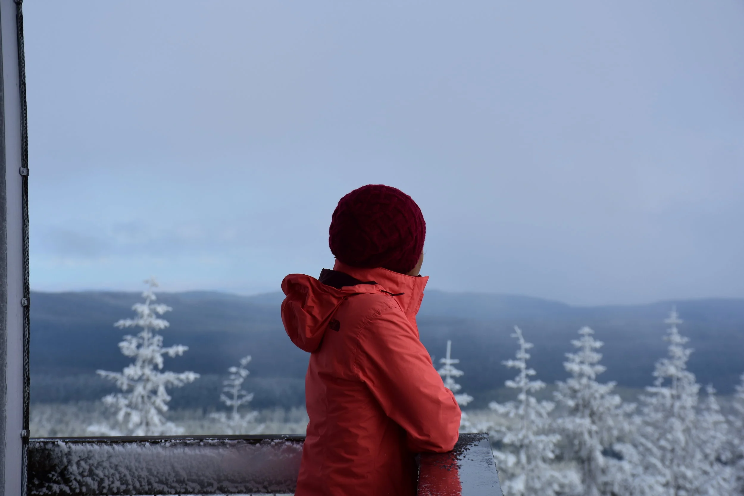 Four Nights in Two Fire Lookout Towers
