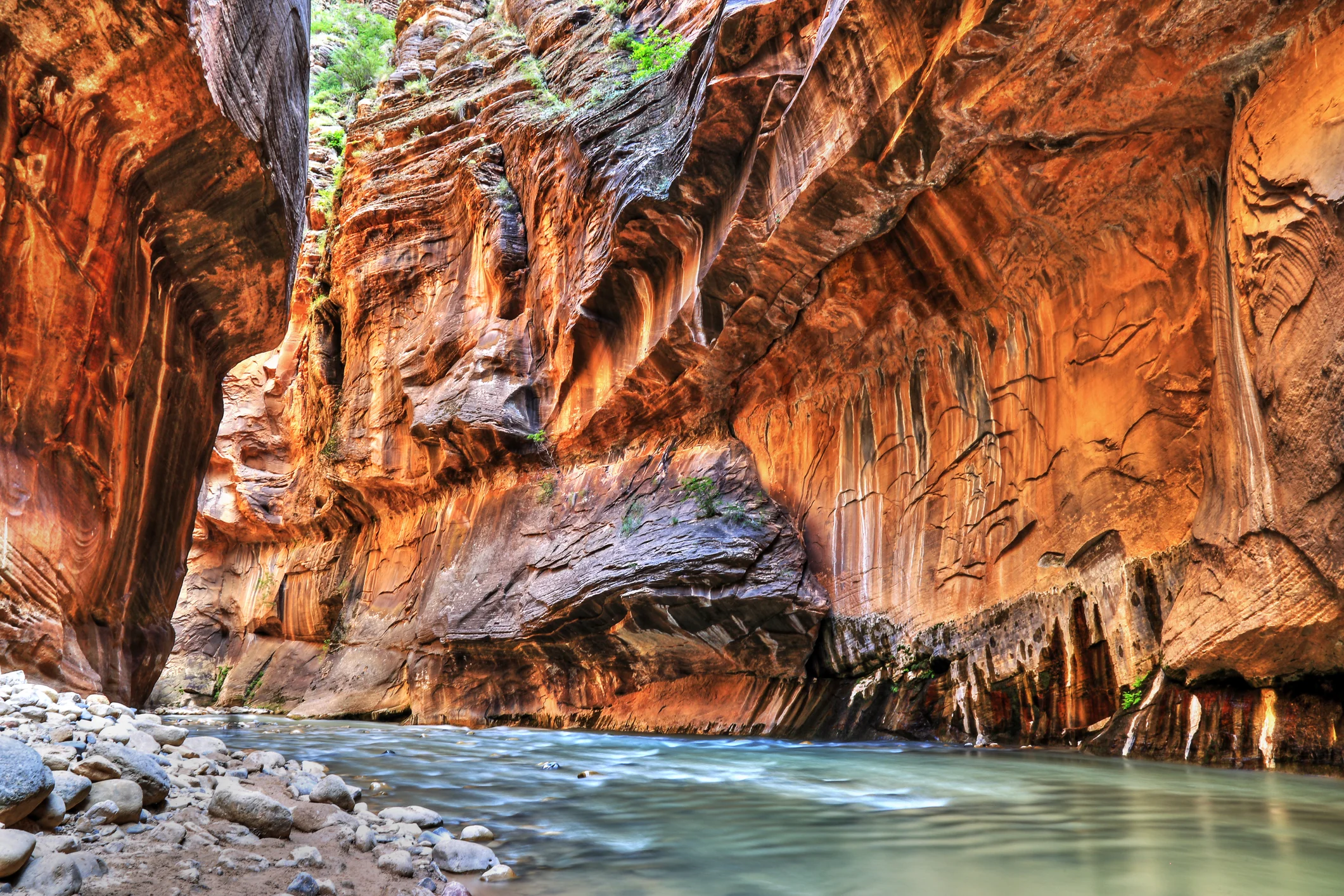 The Narrows, Zion National Park ( Photo credit: Getty Images)