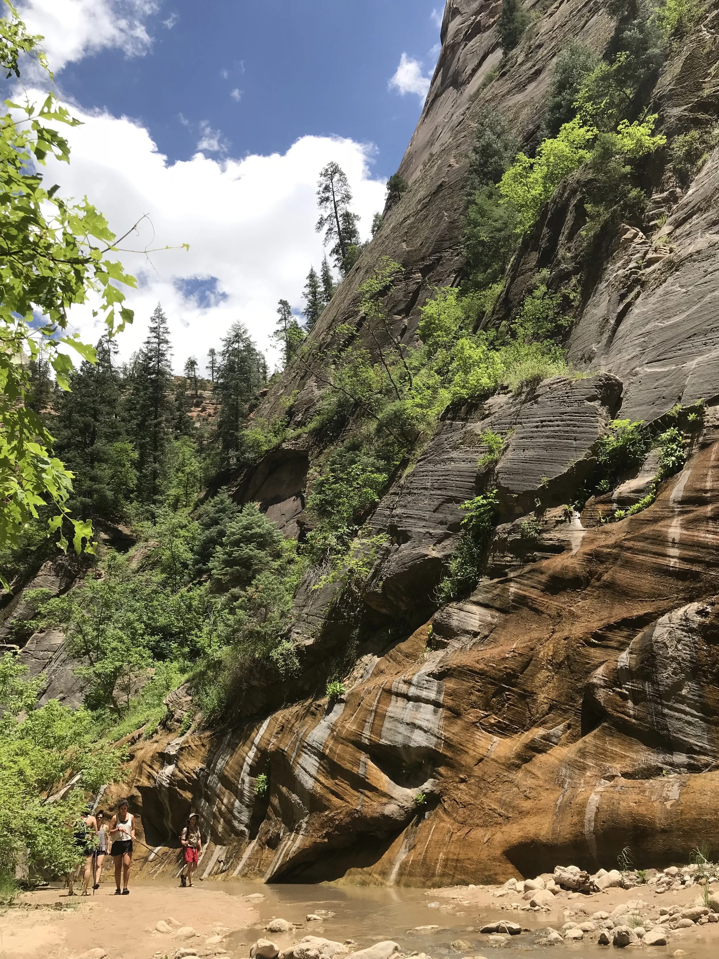 Orderville Canyon. Photo taken by Nadia Mercado