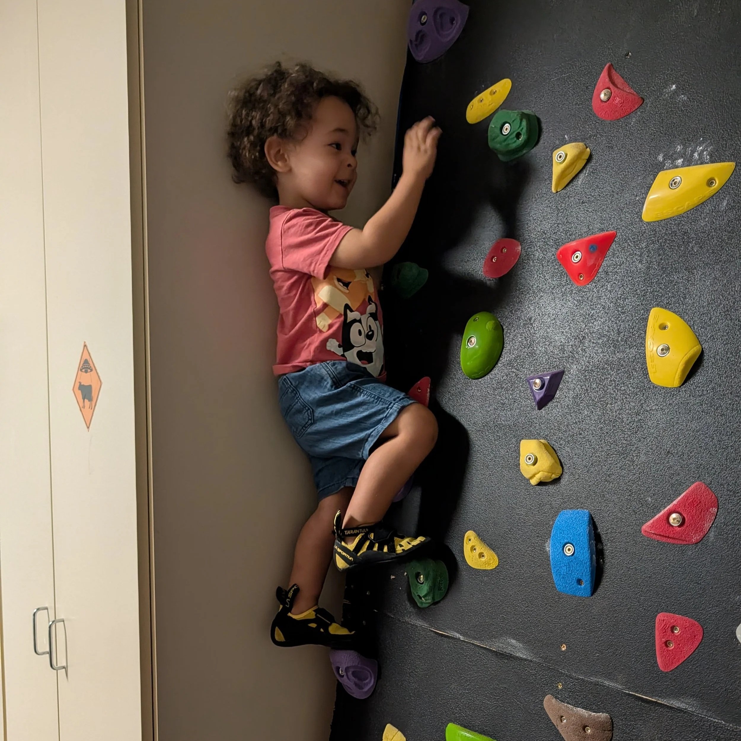 Why You Need A Home Slab Wall