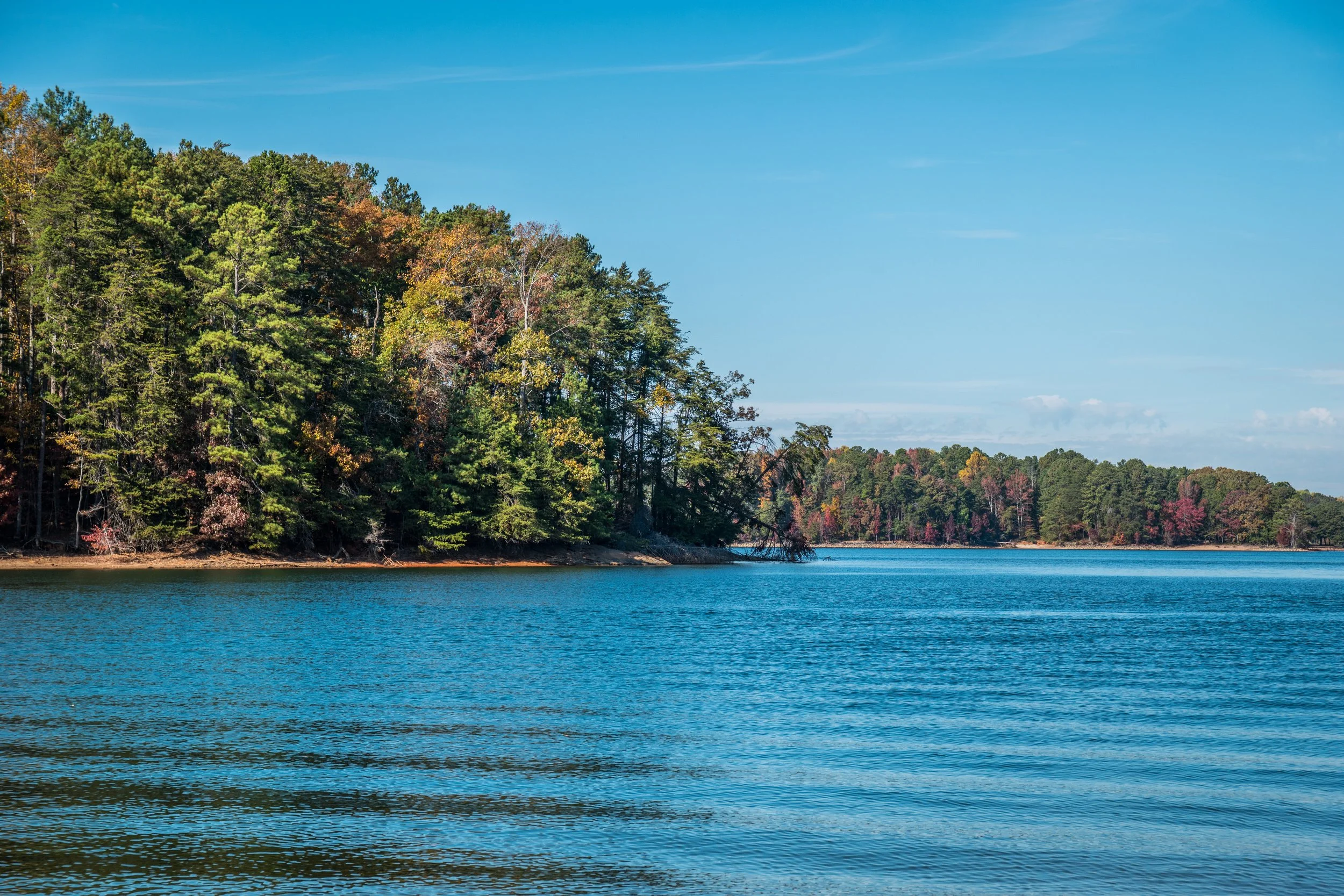vecteezy_autumn-shoreline-lake-lanier-georgia_49321173.jpg