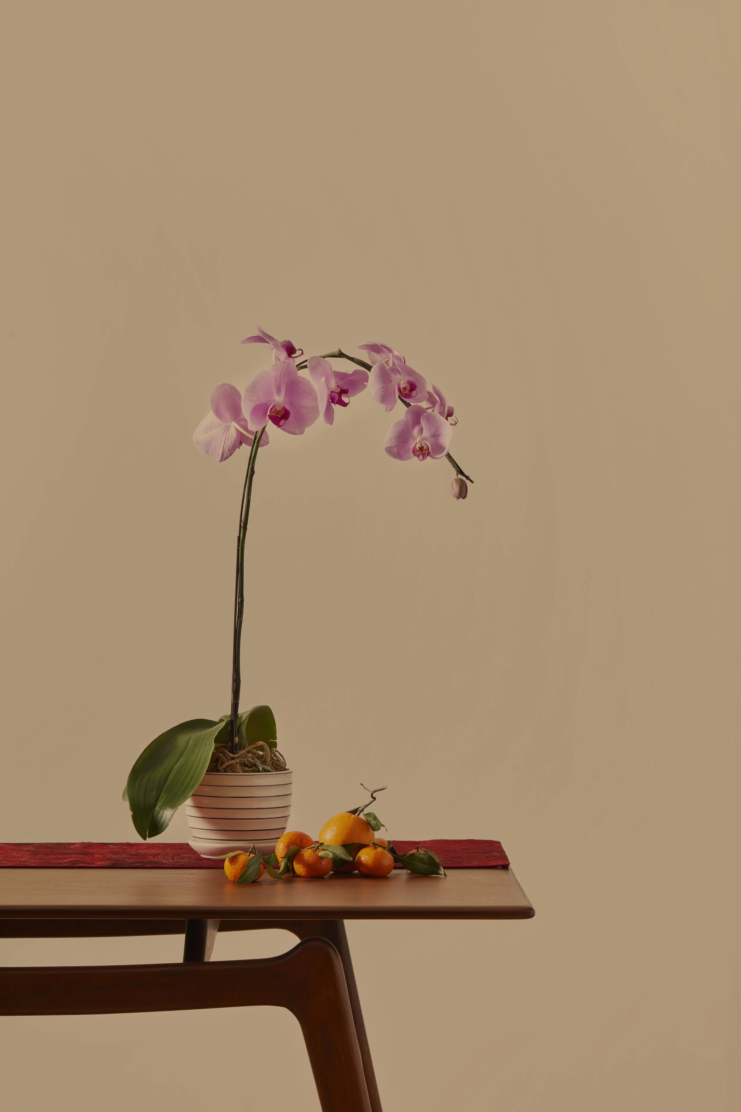 SCENARIO_2_FLOWER_V3_small.jpg