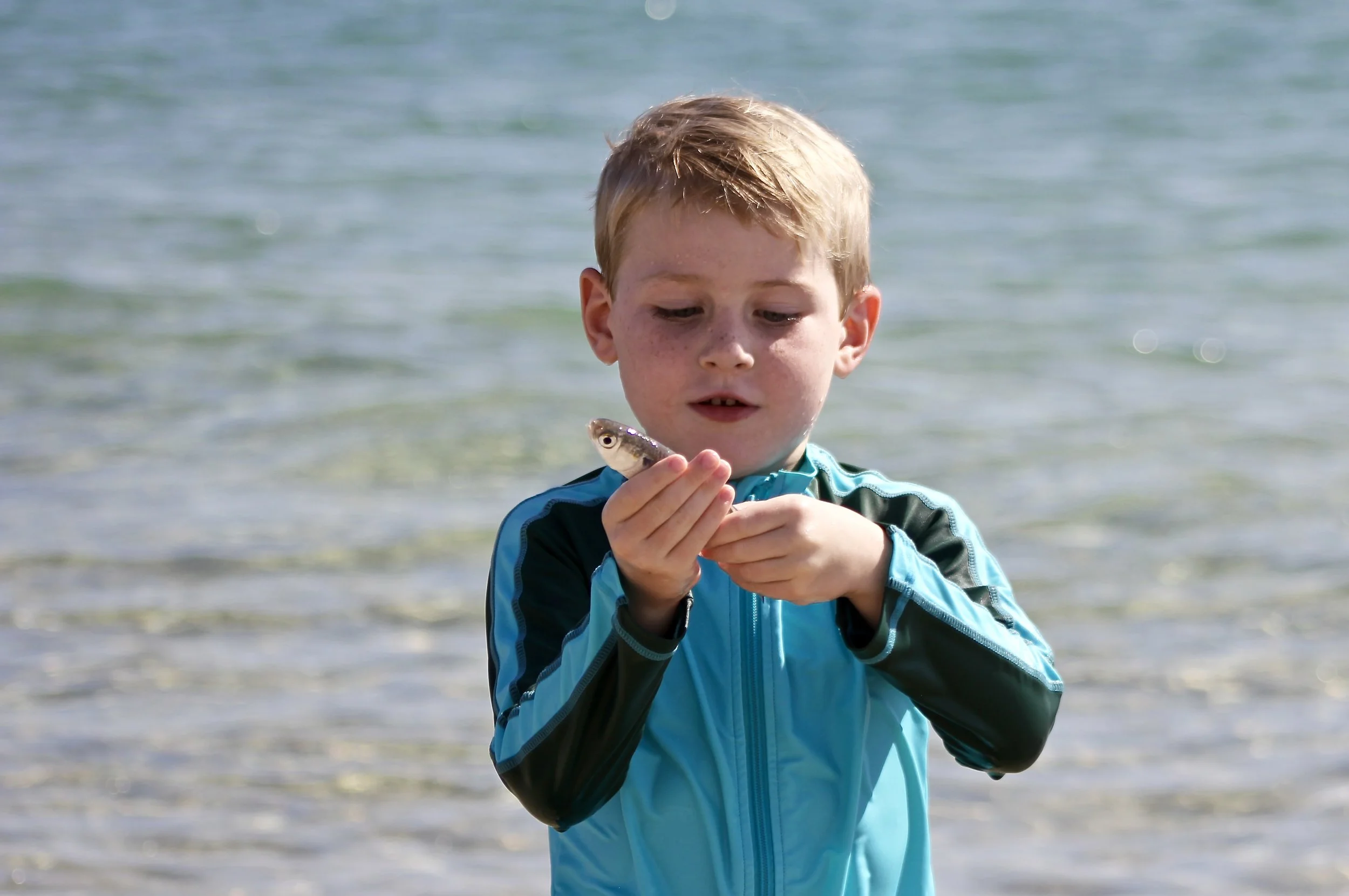 swimzip rash guard
