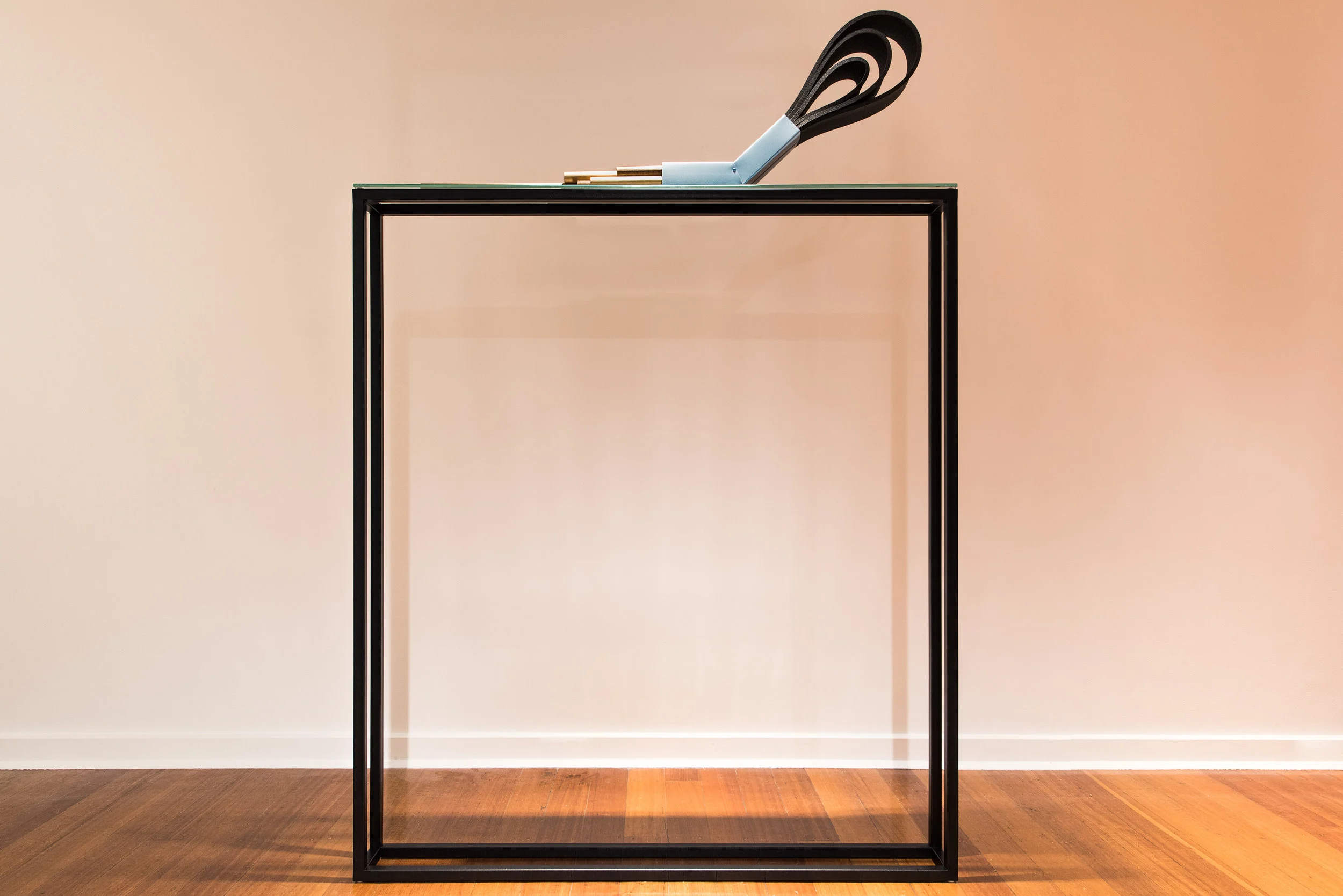   The Repositioning of an    Object that Once Functioned l &nbsp;(2017)  Steel, Wood, Lacquer Paint,  Polyethylene Foam and Glass  135cm x 14.6cm x 195cm&nbsp;  Image Credit: Guy Grabowsky    