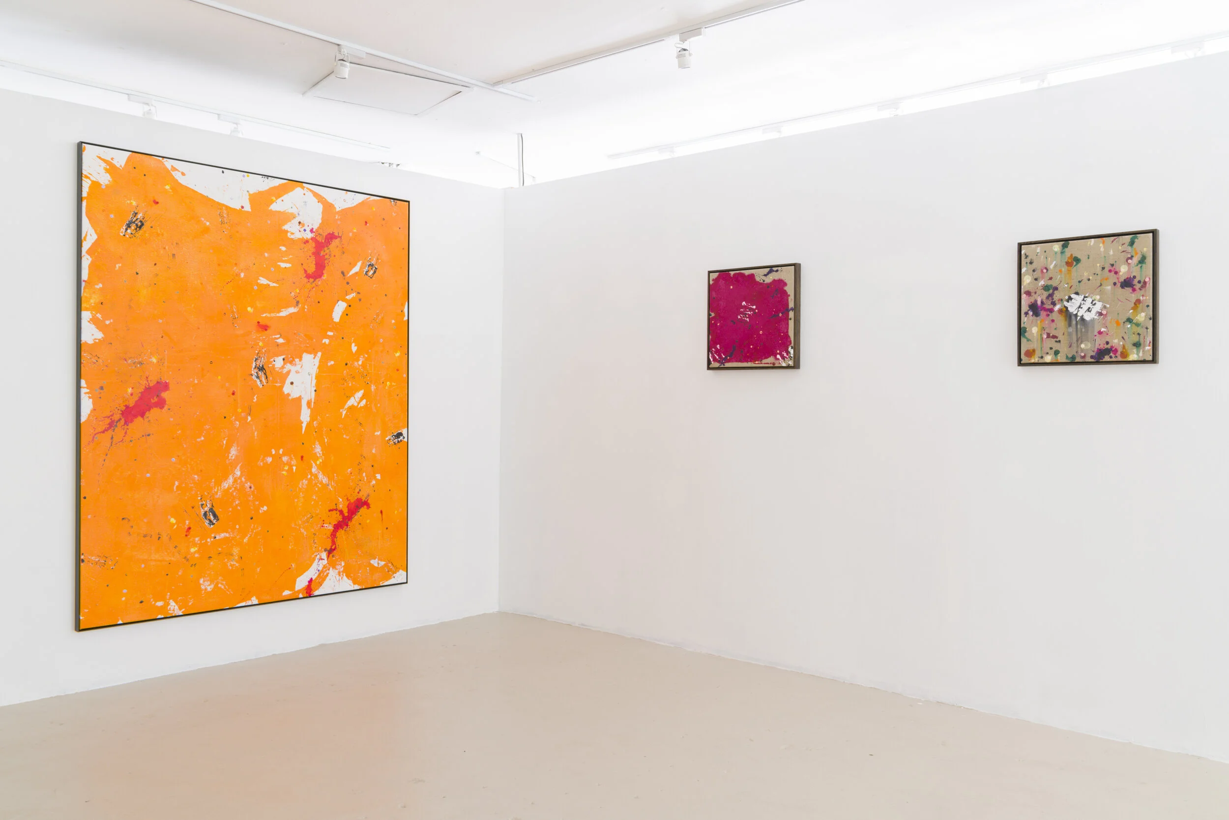  Selected Works (2018-19)  Dimensions Variable  Installation View, Rubicon Ari  Image Courtesy: Chris Bowes   