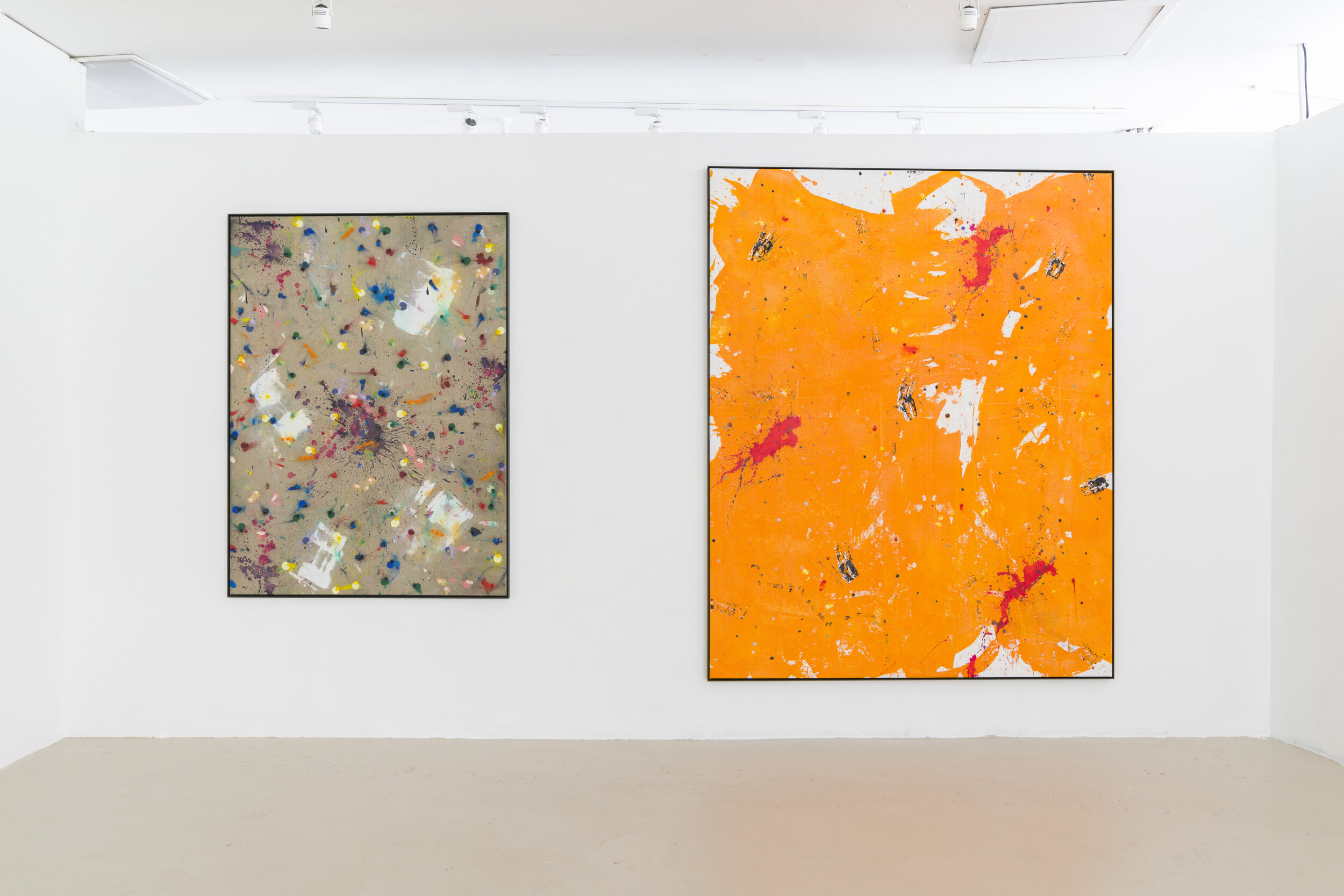  Selected Works (2018-19)  Dimensions Variable  Installation View, Rubicon Ari  Image Courtesy: Chris Bowes   