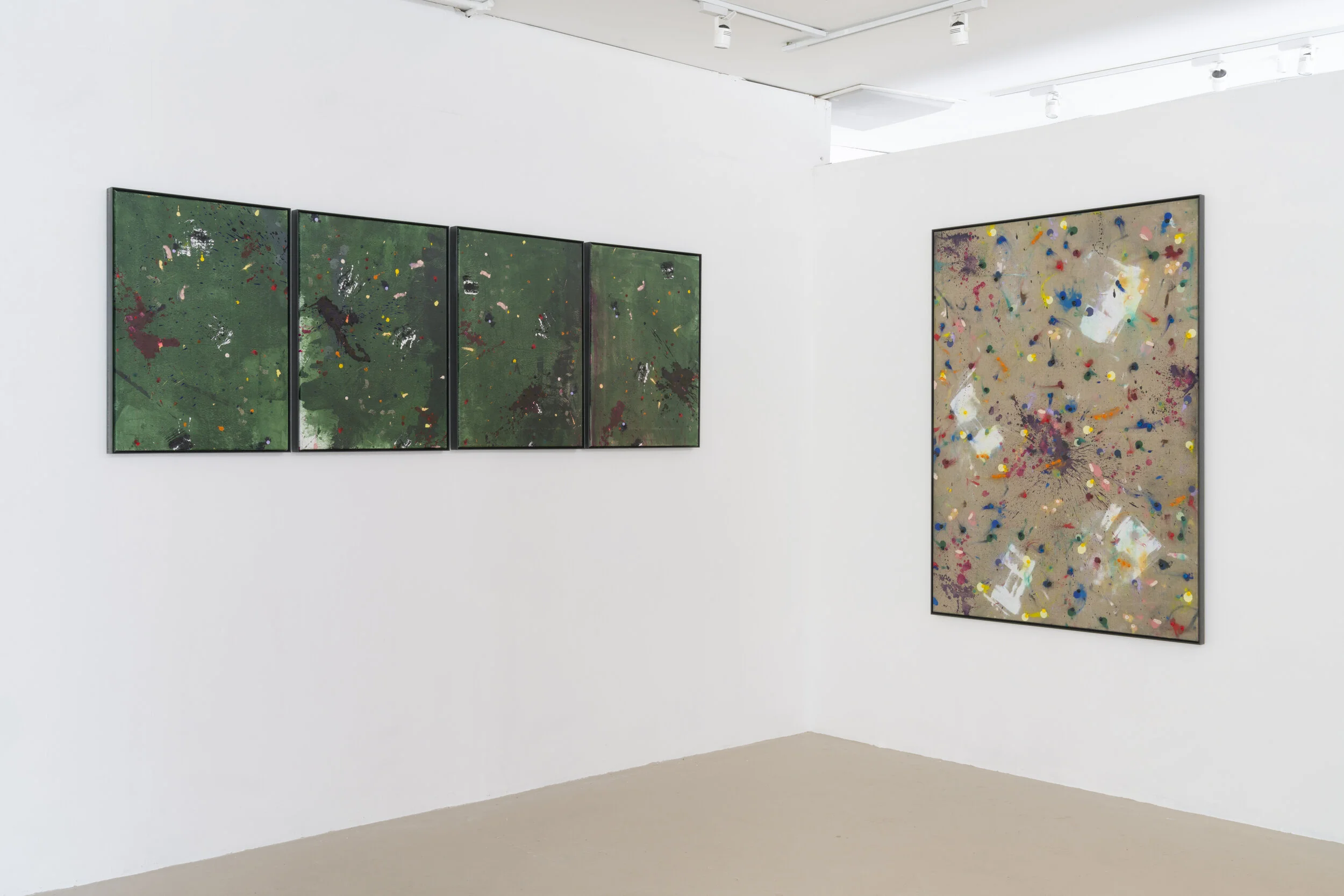  Selected Works (2018-19)  Dimensions Variable  Installation View, Rubicon Ari  Image Courtesy: Chris Bowes   