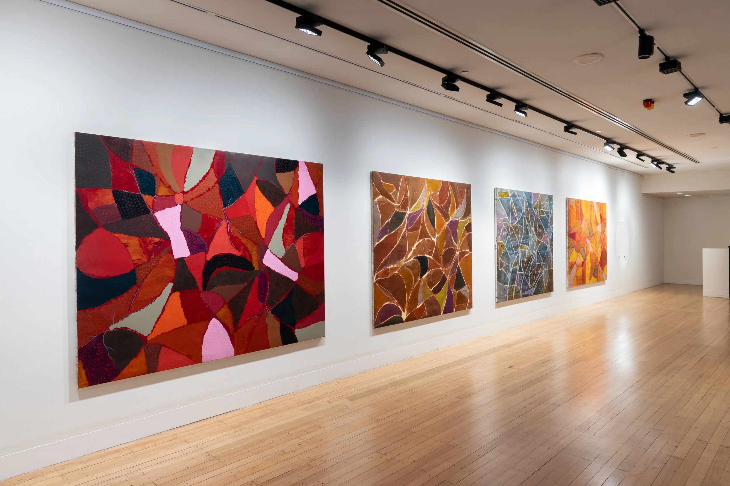 Sean McDowell - Infusion_Diffuse 2026-6.jpg