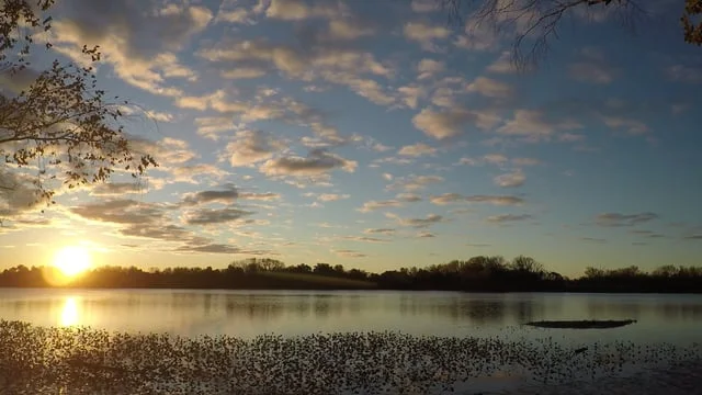 500 Acres of Controversy: Saving Petty’s Island Preview