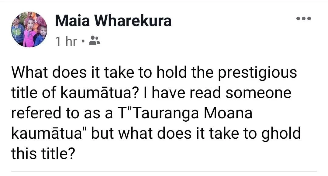 Te Urupounamu - What qualifies you as a Kaumatūa?
