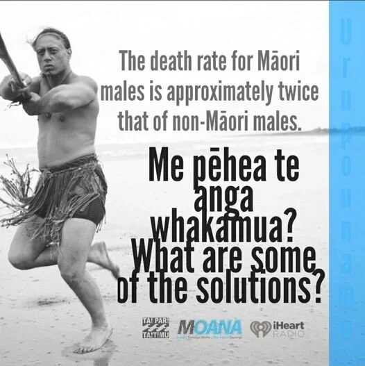 Urupounamu: Hauora o ngā Tāne Māori