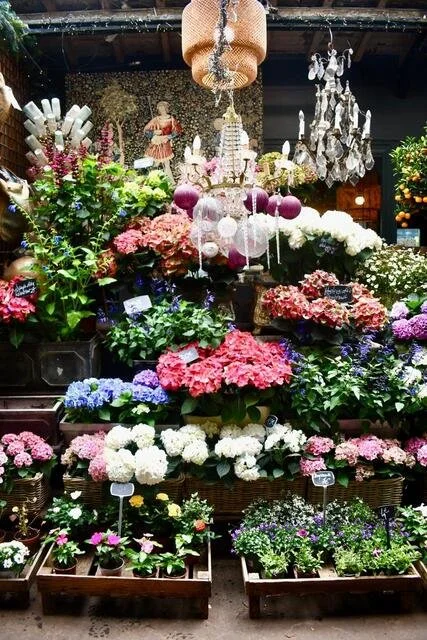   Floral market at  Place Louis Lépine  