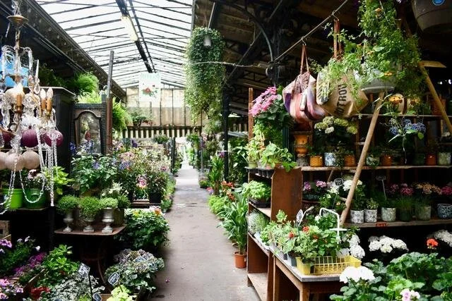   Floral market at  Place Louis Lépine  