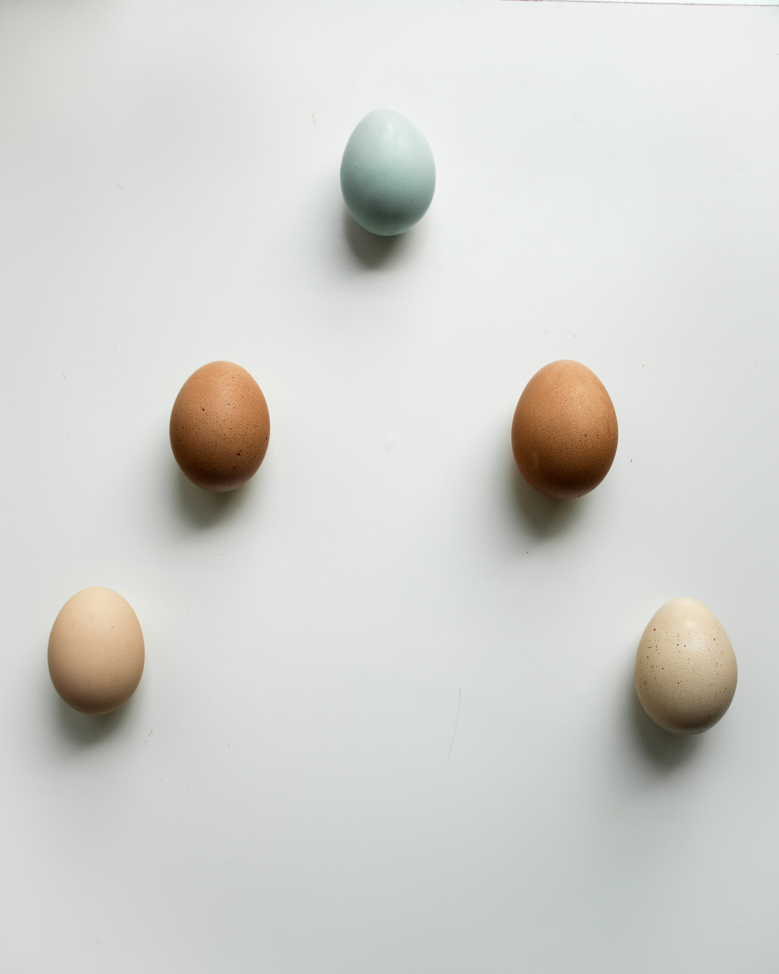 Composite Egg_2.jpg