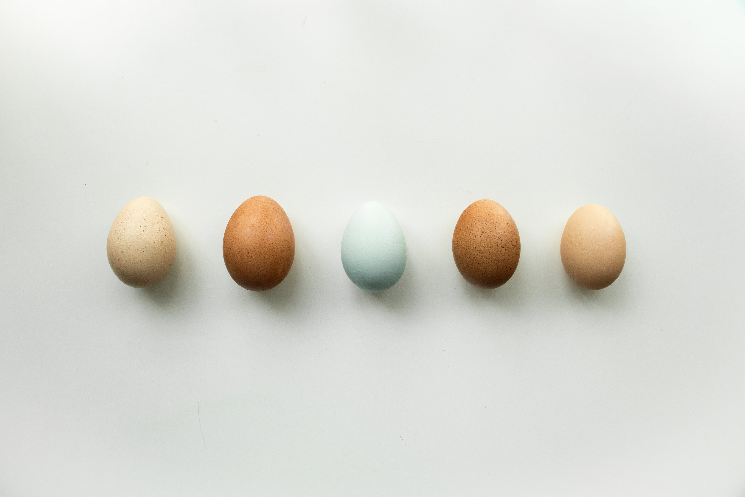 Composite Egg_1.jpg
