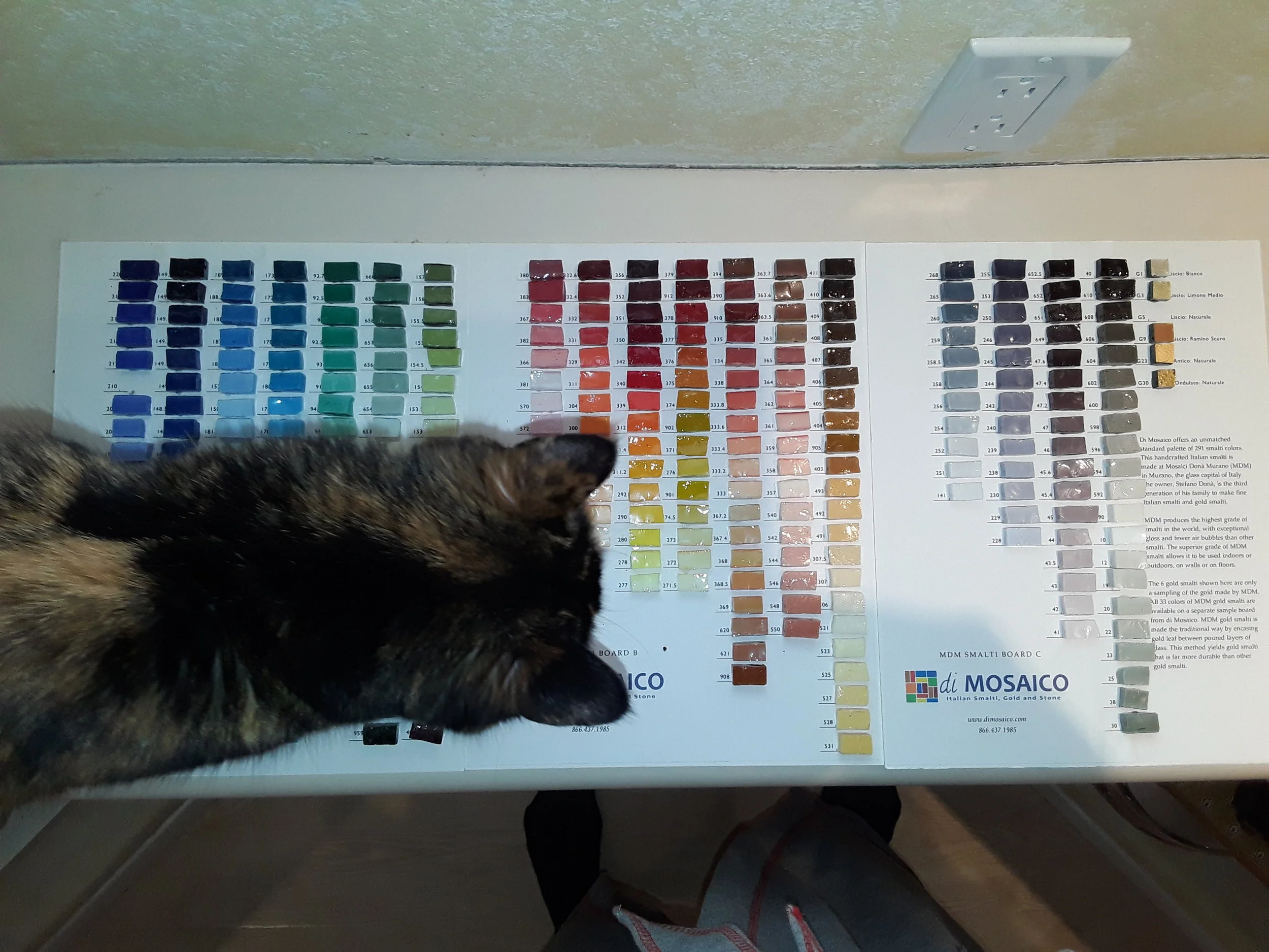 Smalti Cat